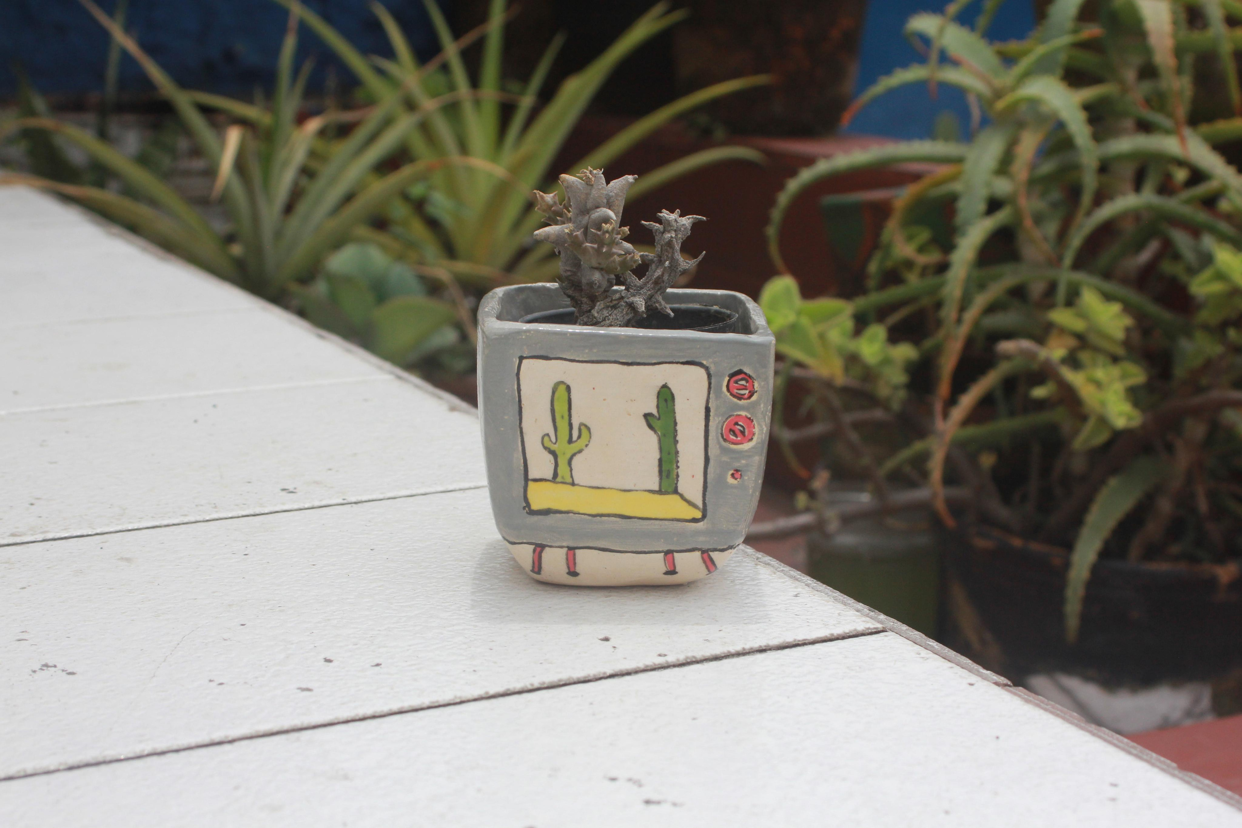 Ceramics project. Xexexena.ru