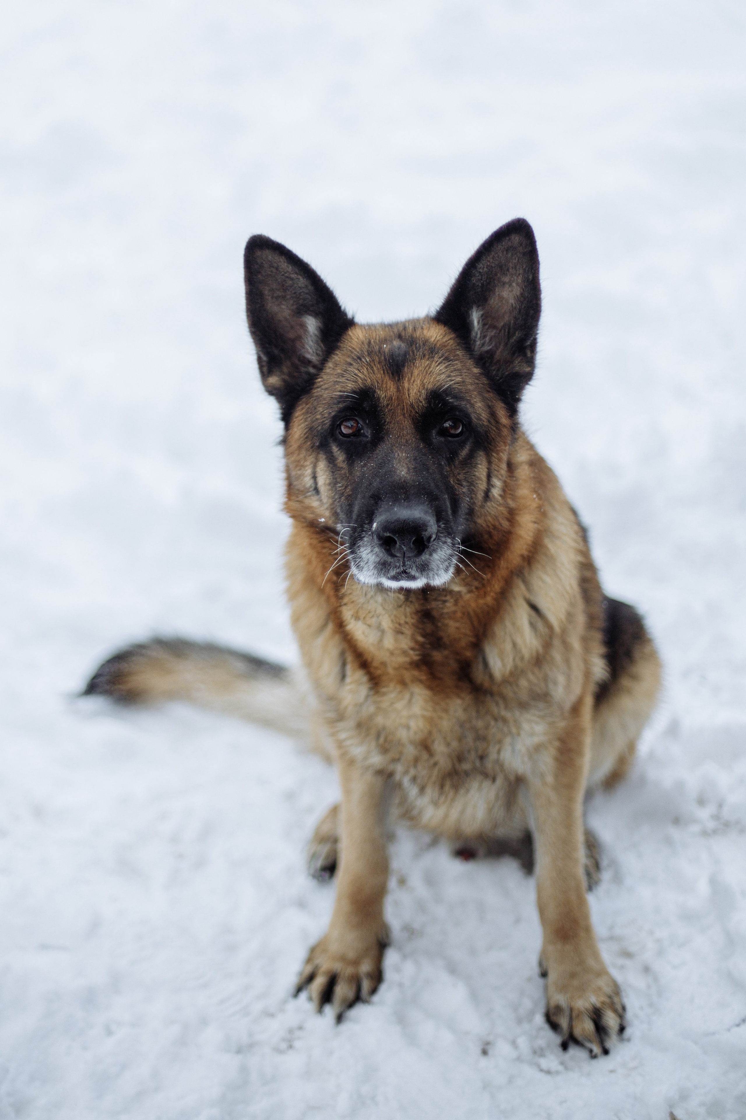 ПЕРВЫЙ СНЕГ. Семейный и детский фотограф в Крыму Екатерина Швец
