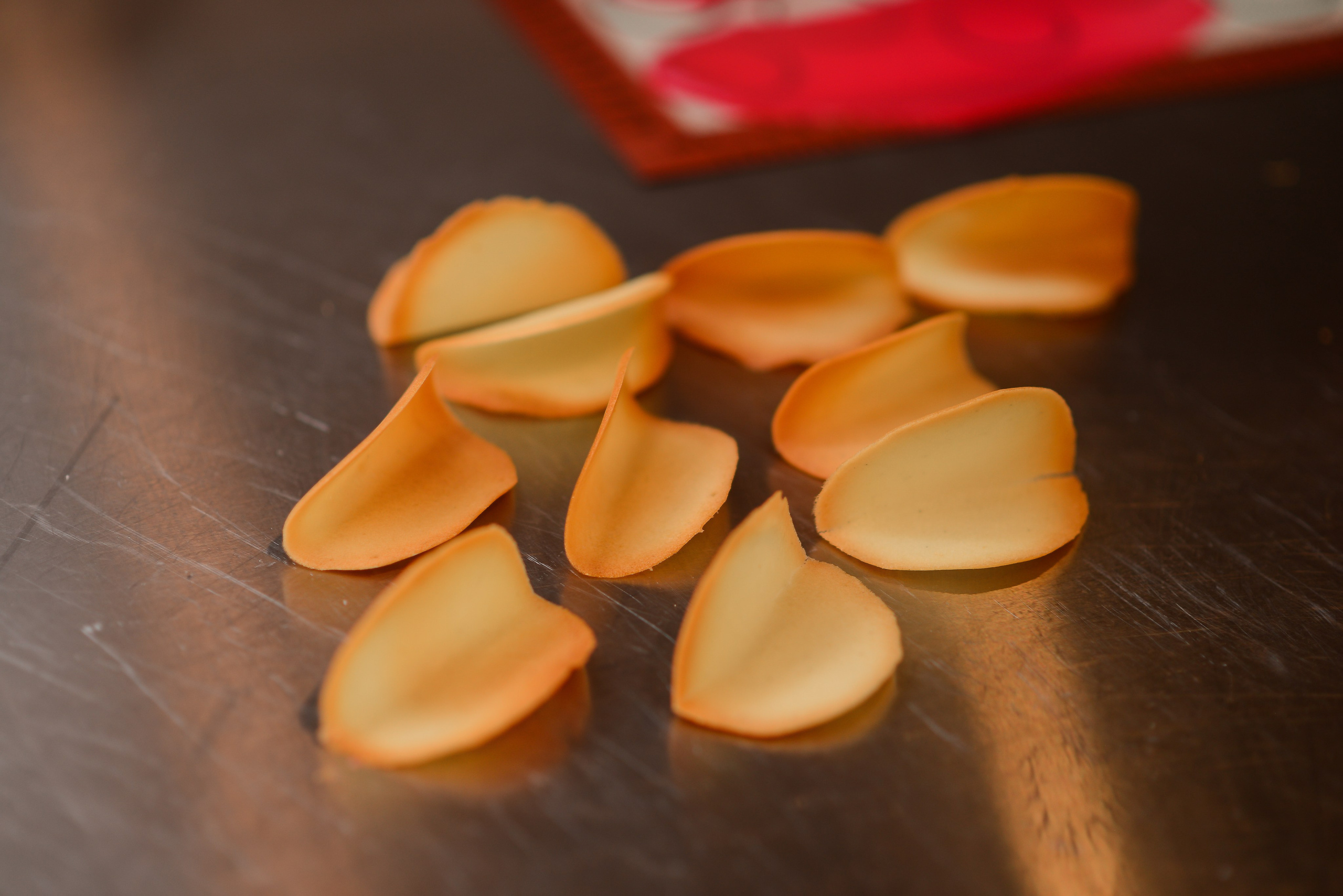 Ratatouille. Фотограф Астана, Алматы