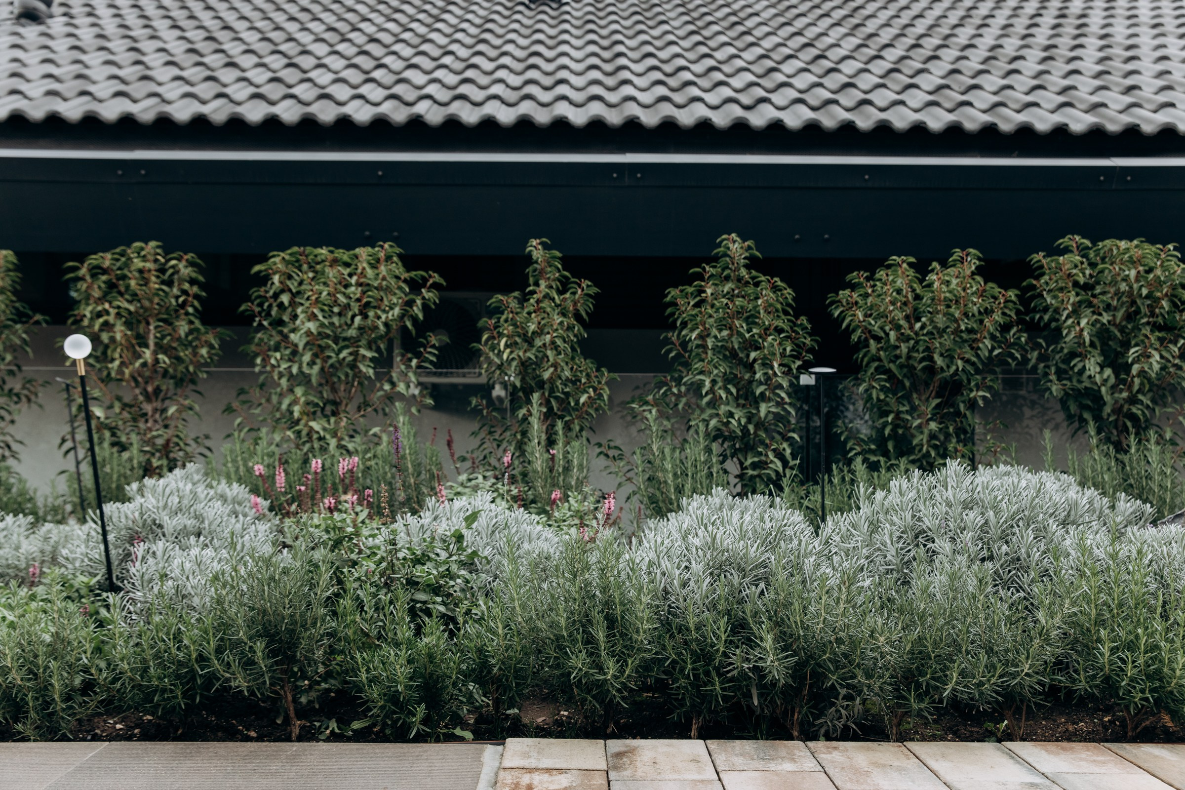 Съёмка для компании INTEQ HAUS из Москвы. Фотограф в Крыму — Федор зайцев. Свадебная, семейная и портретная съёмка. Фотографии для контента, для бизнеса. Корпоративная съёмка