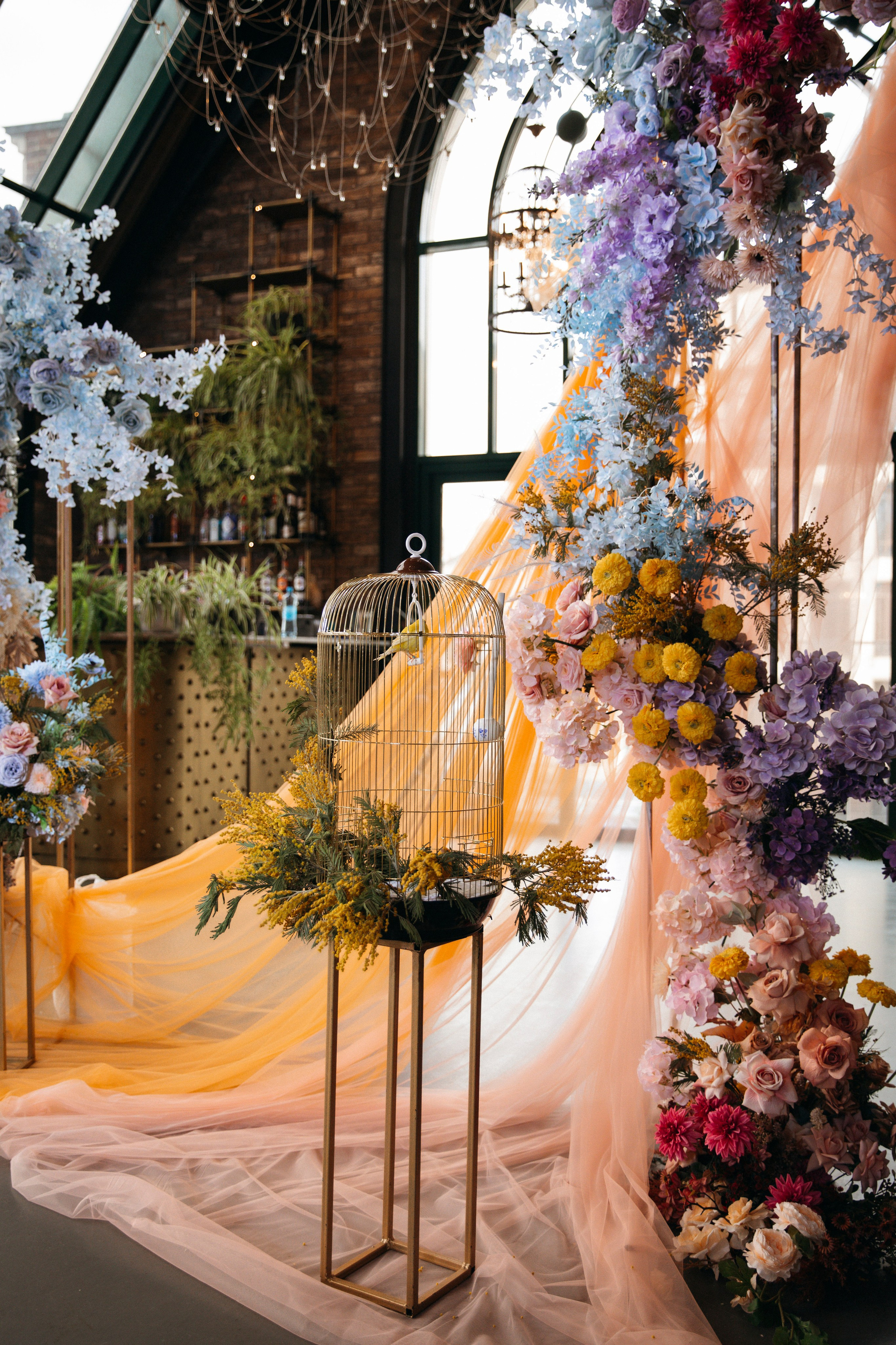 София и Лука. Nikolpinhasova