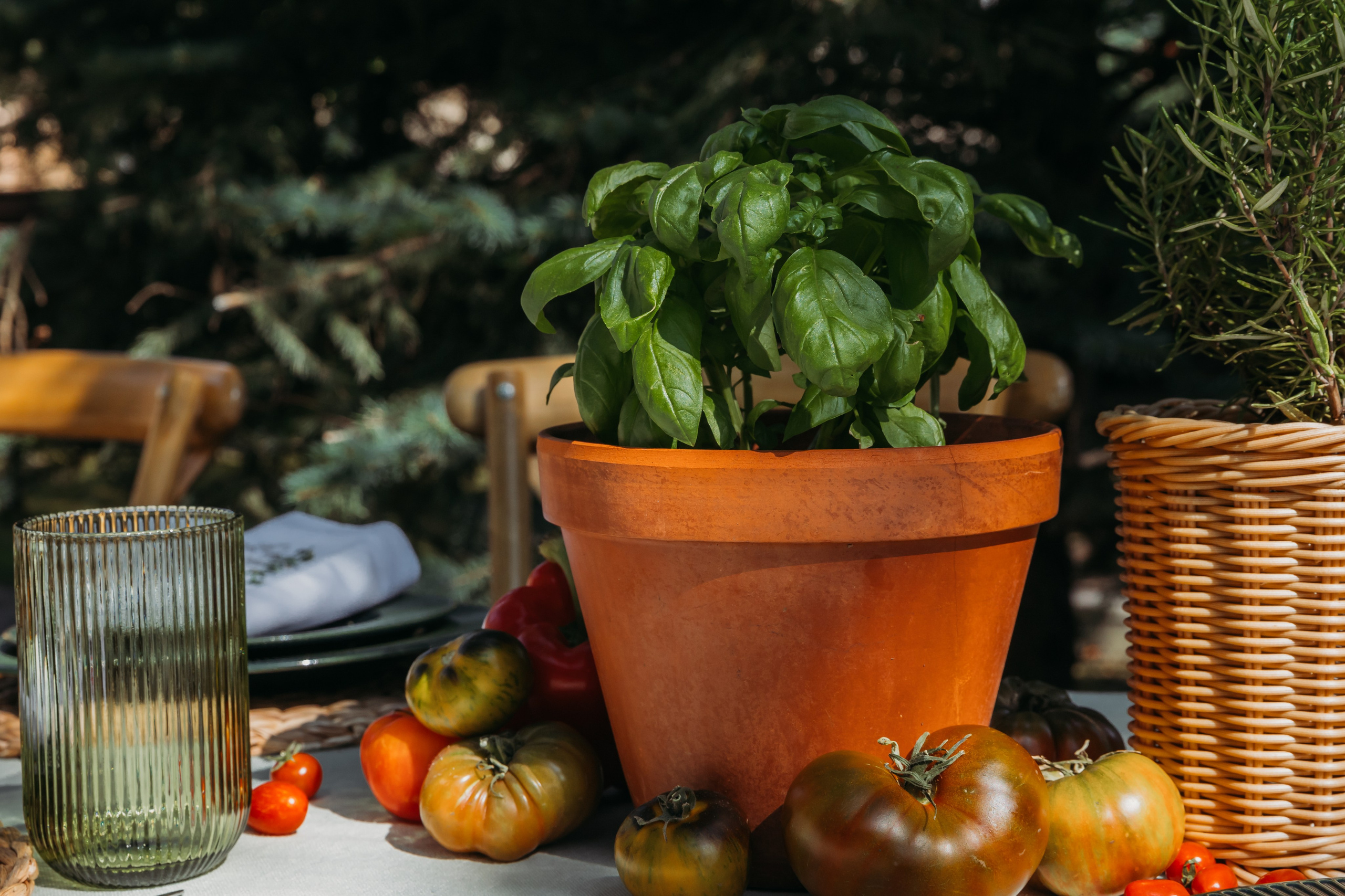 Родные люди «Итальянский день». Леся Гаранина. Семейный фотограф/видеограф Москва и область