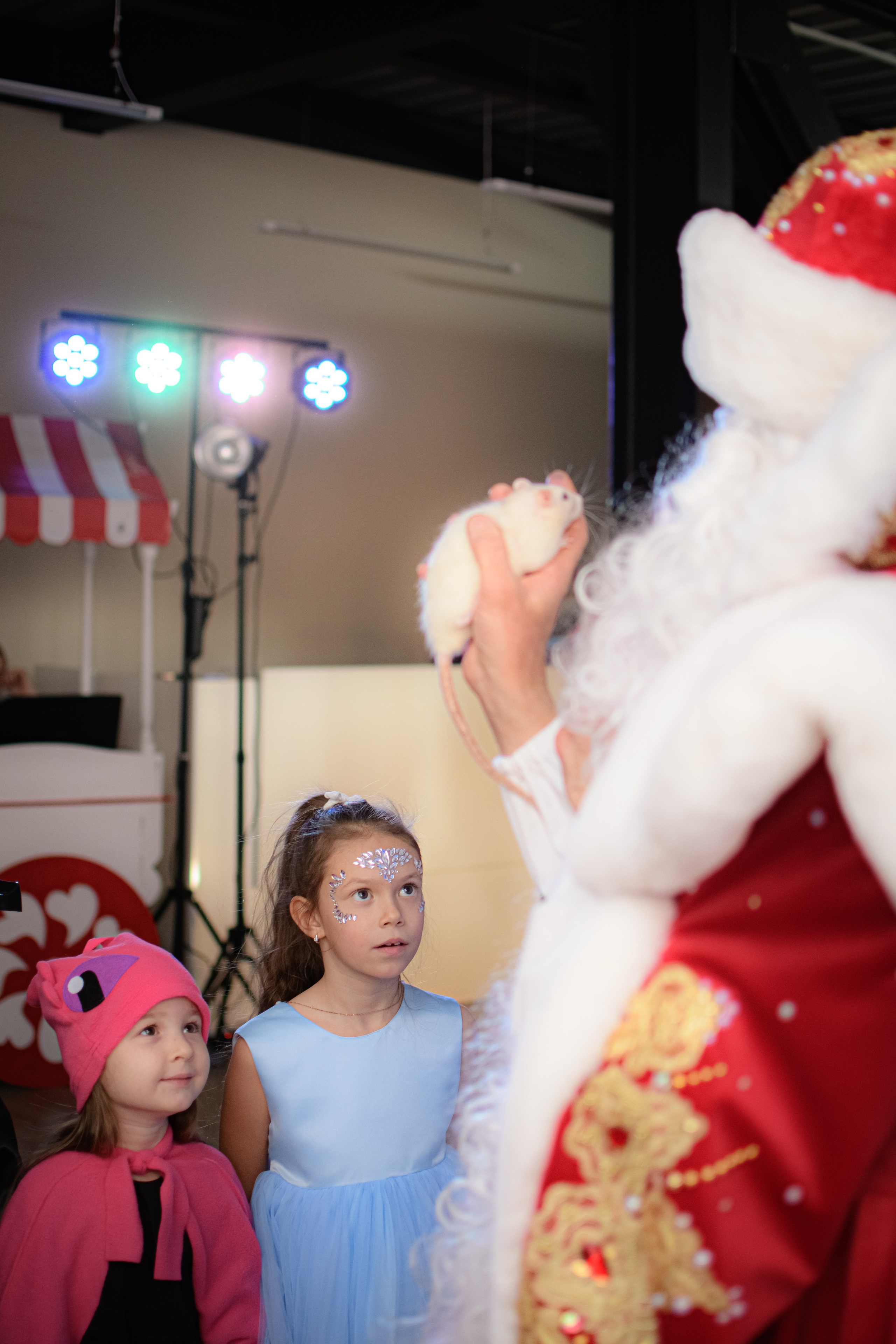 HAPPY NEW YEAR. Photokarish