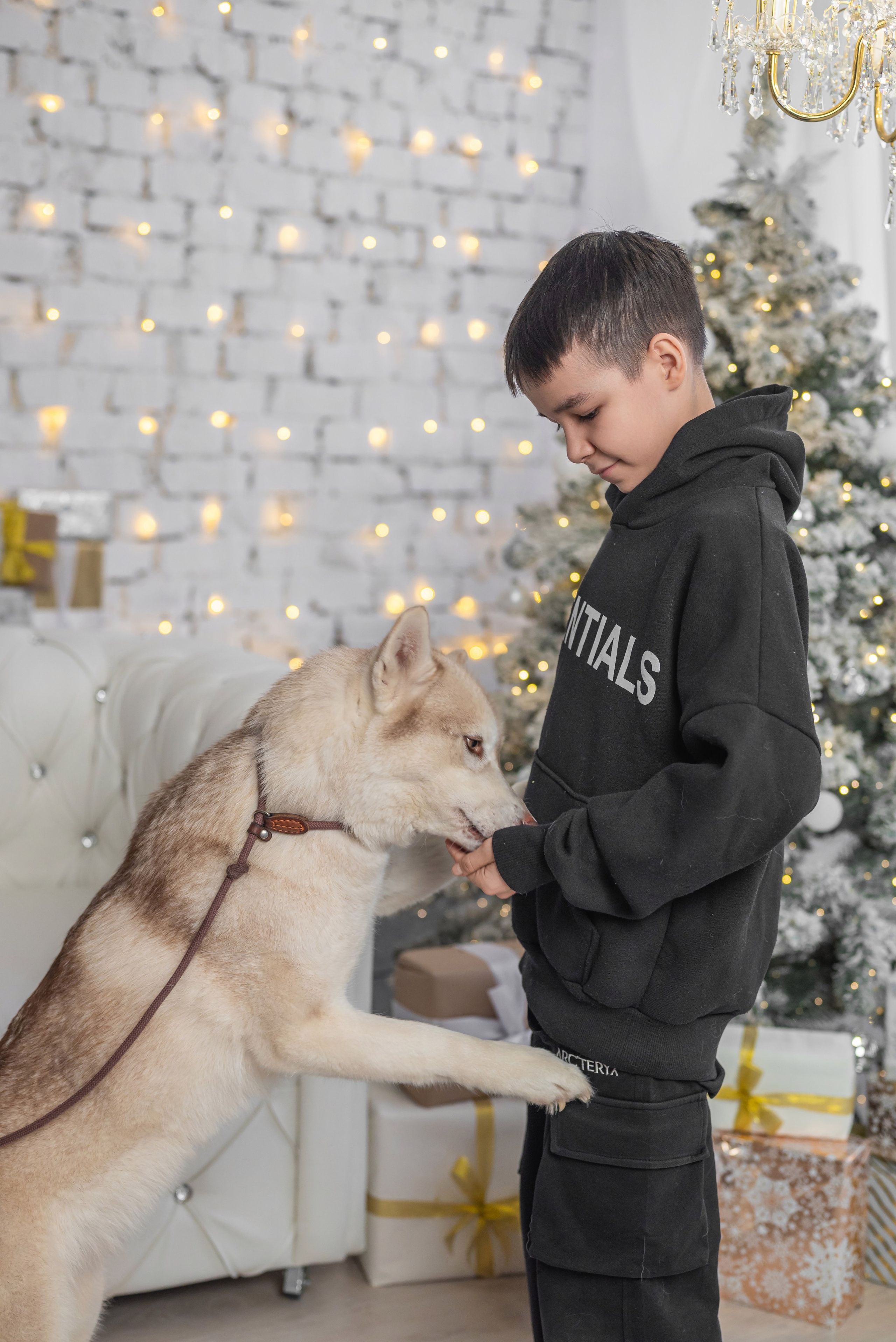 Фотопроект с хаски. Фотограф в городе Салават