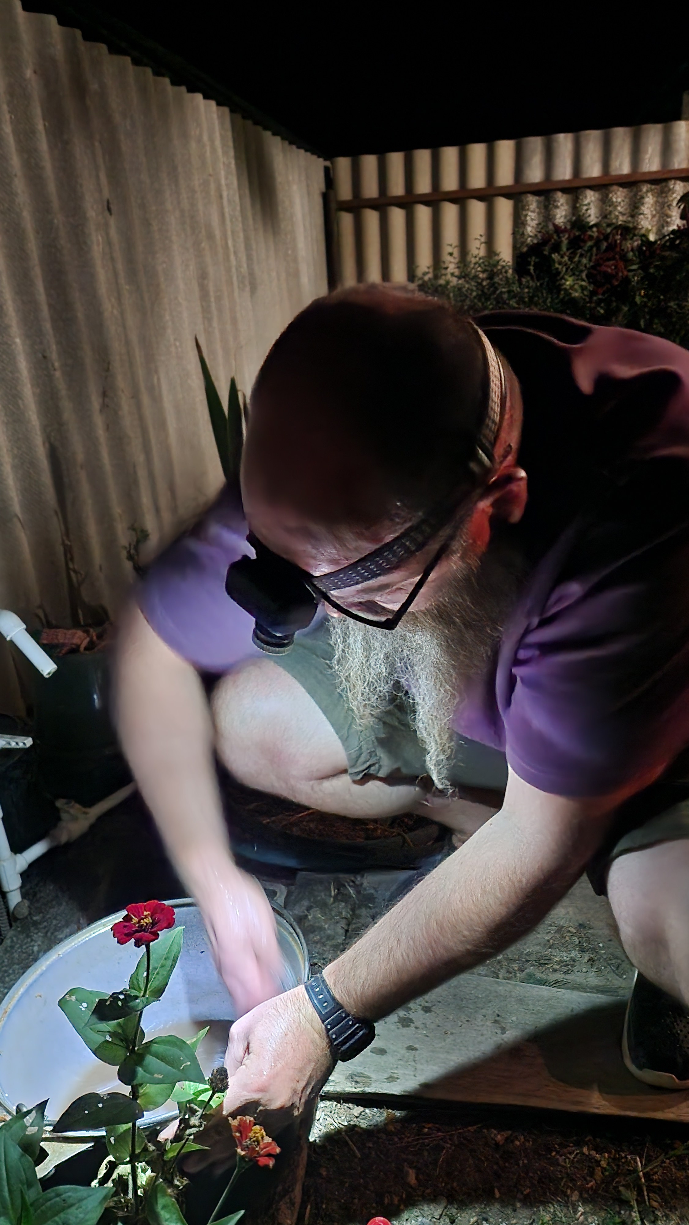 Приморское (2024-09-25). Собор Отрасли