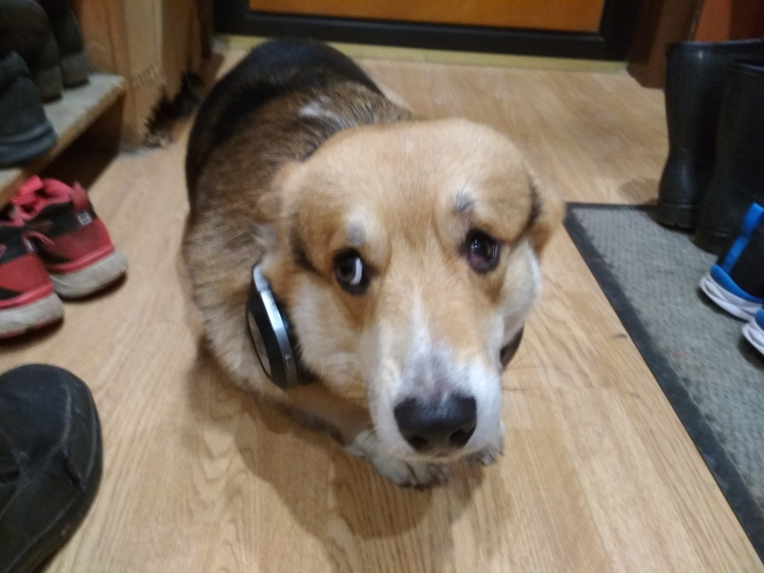 Мамочка дорогая, Царствие Небесное!. Собор Отрасли