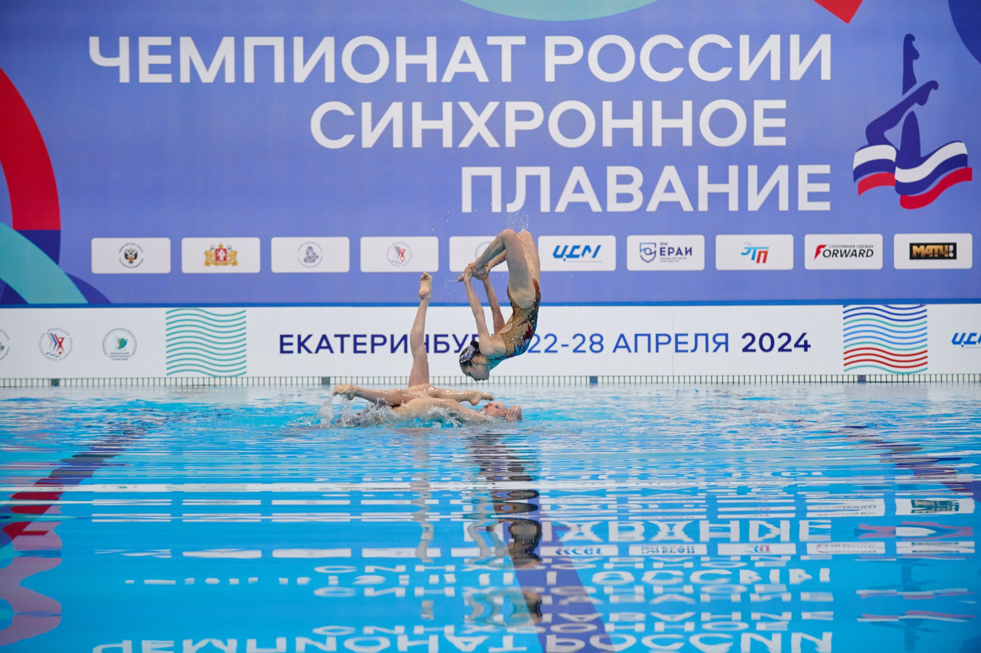 Чемпионат России Синхронное плавание 2024. Мезенцев Евгений фотограф