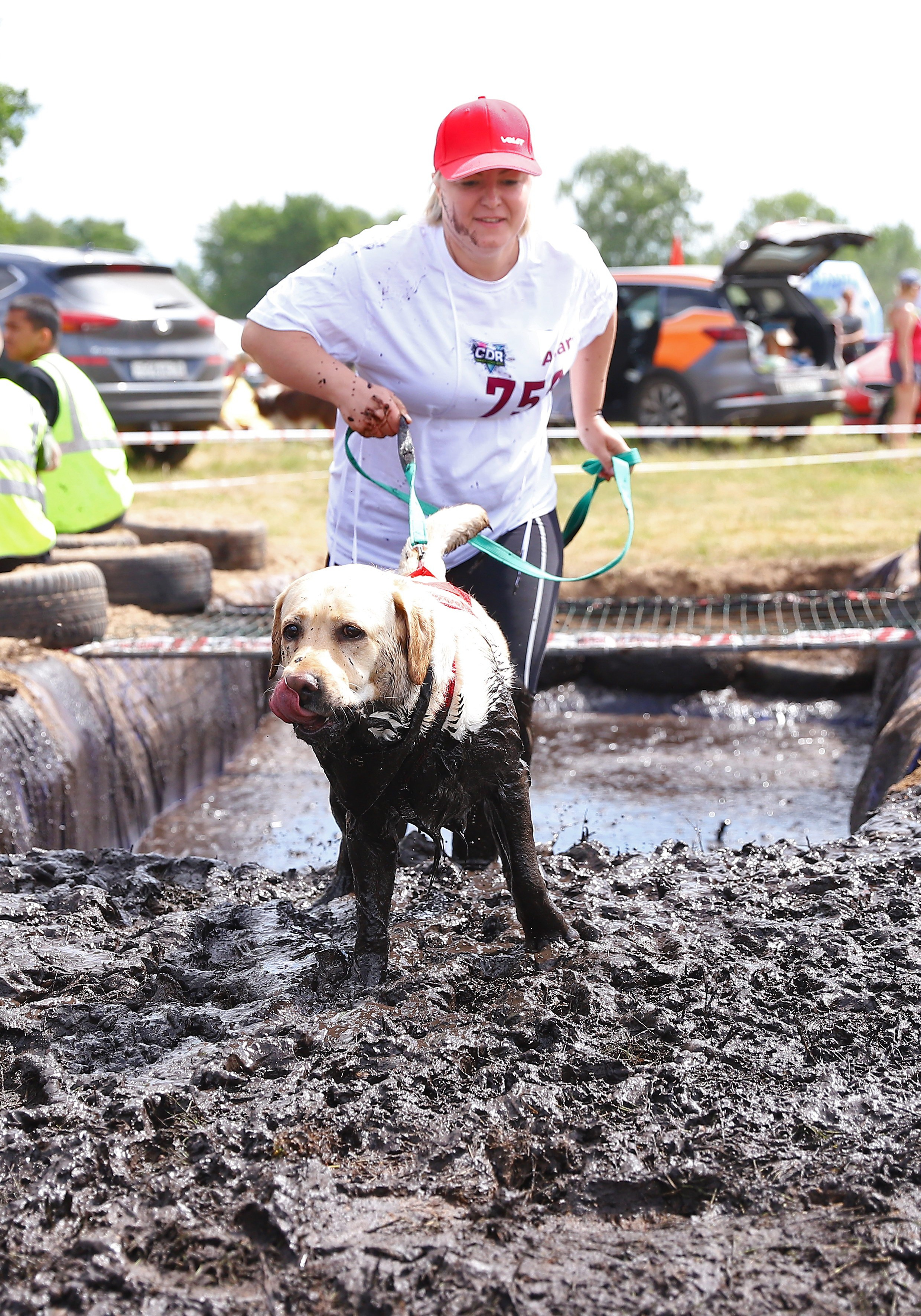 Хвостатый драйв. Семейный и детский фотограф в Москве и МО Елена Москвичева