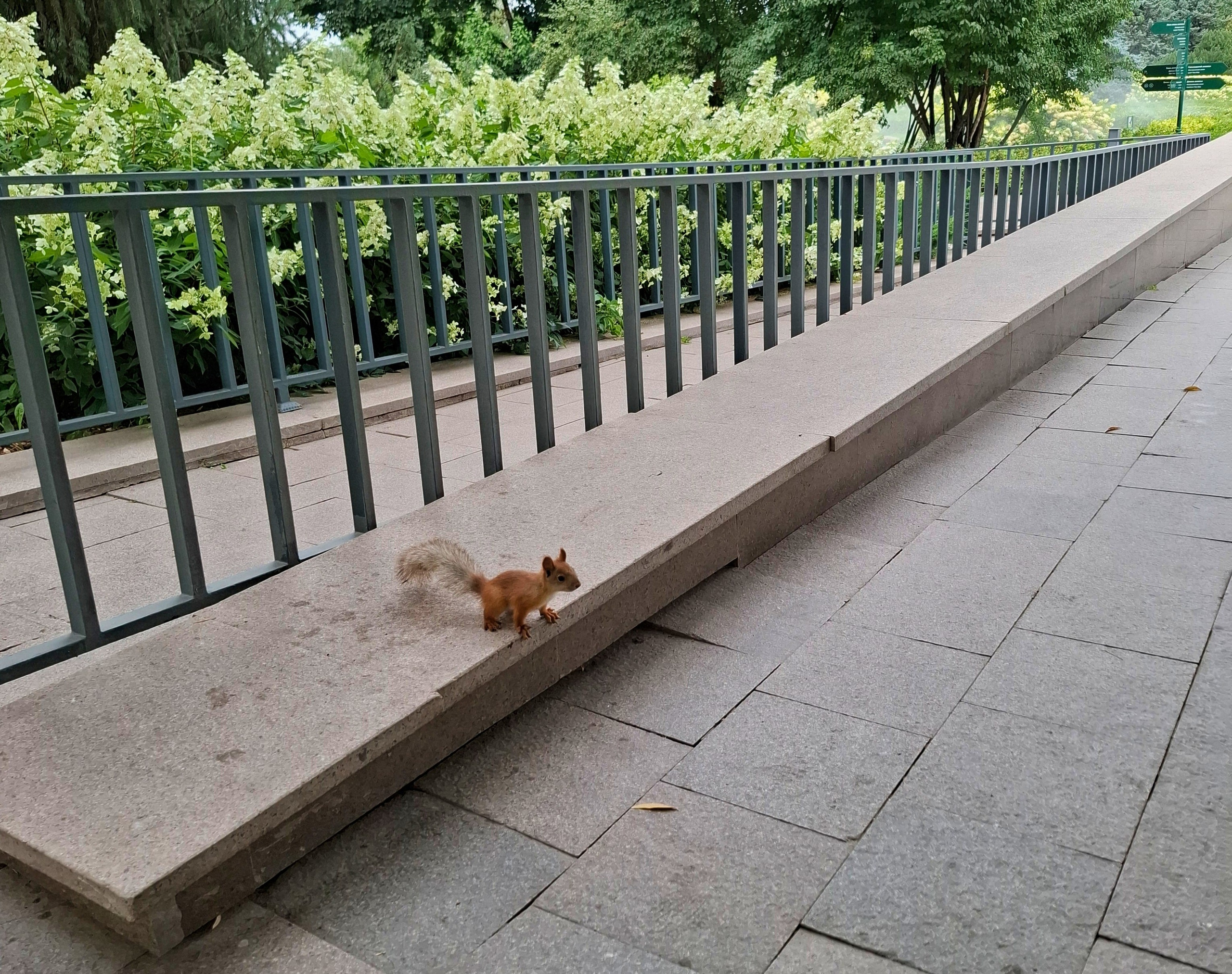 | Живое и Вечное |. Фотограф |Алматы | Ruslan Zhadigerov