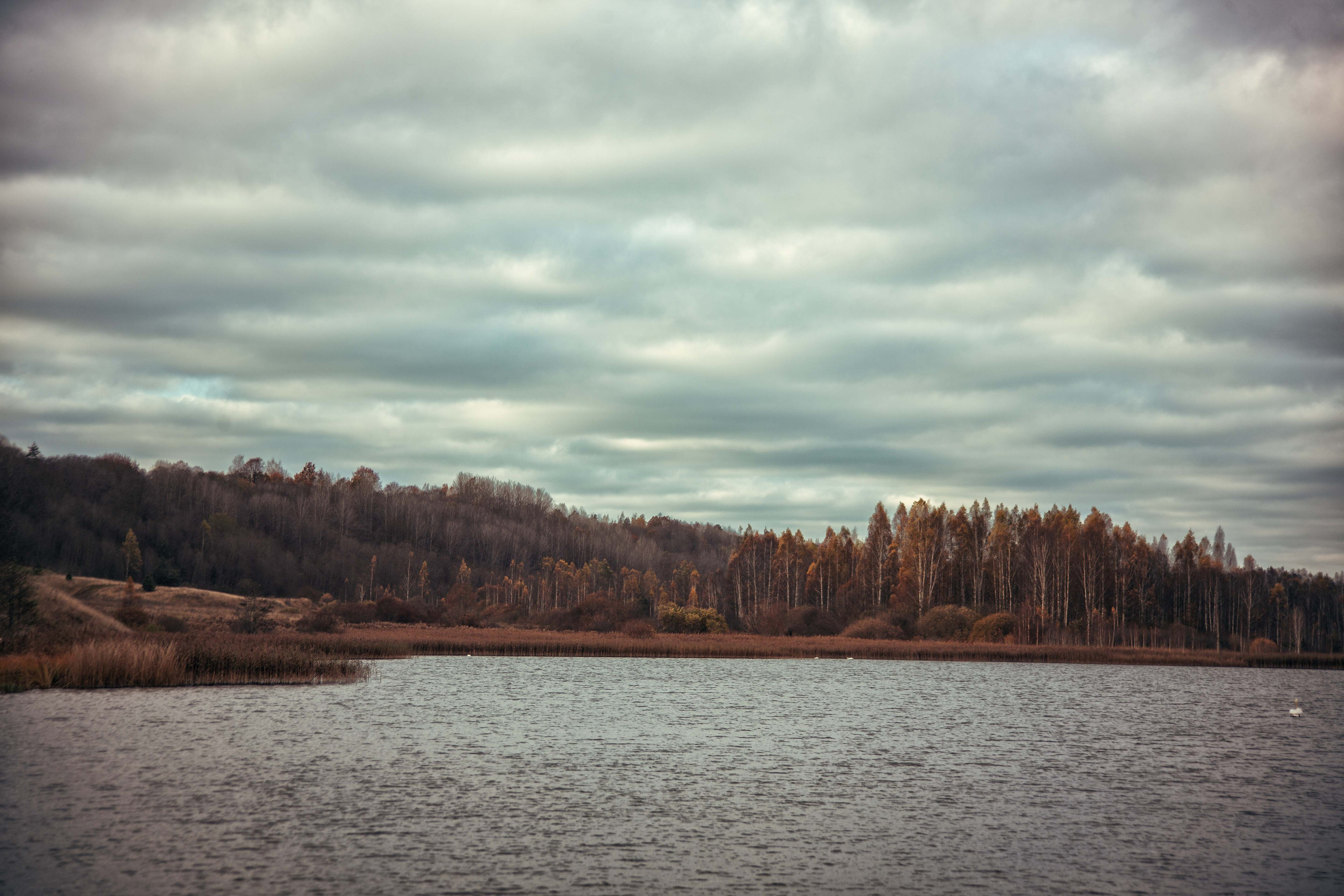 Изборск. Семейный и детский фотограф в Москве Ольга Кривенцова