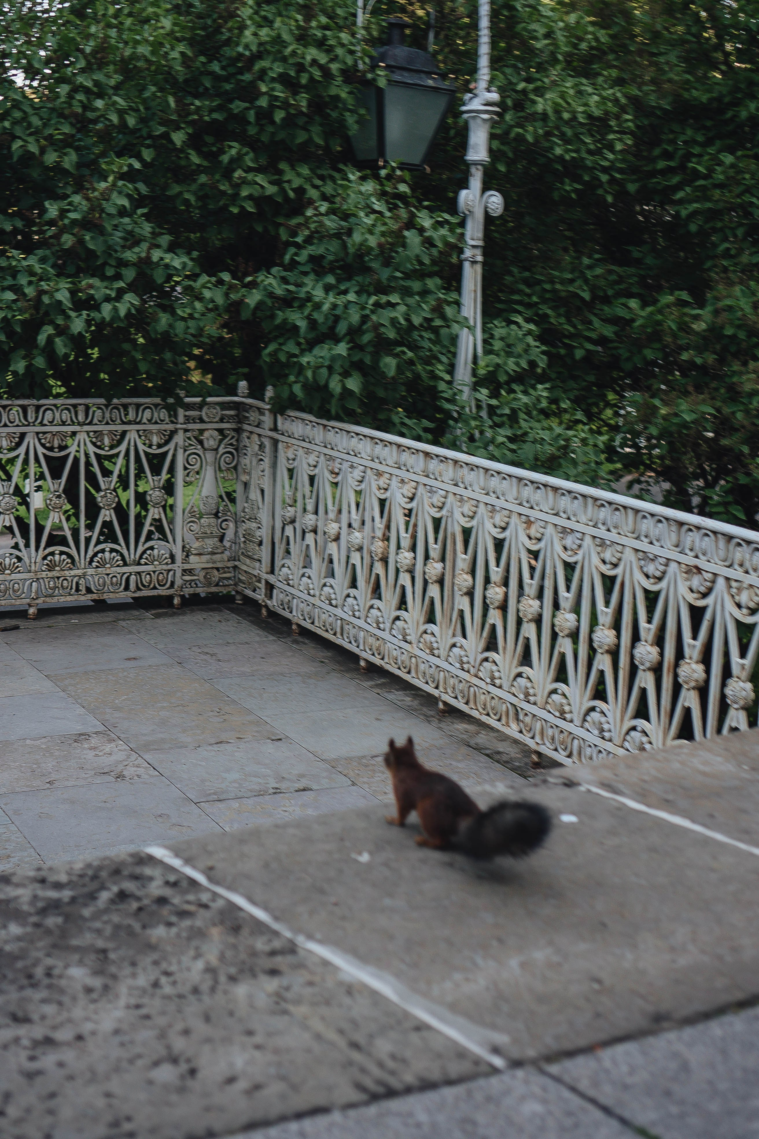 СВАДЕБНАЯ СЬЕМКА НА РАССВЕТЕ НА ЕЛАГИНОМ ОСТОРОВЕ. Профессиональный фотограф, Санкт-Петербург — Виктория Богомолова