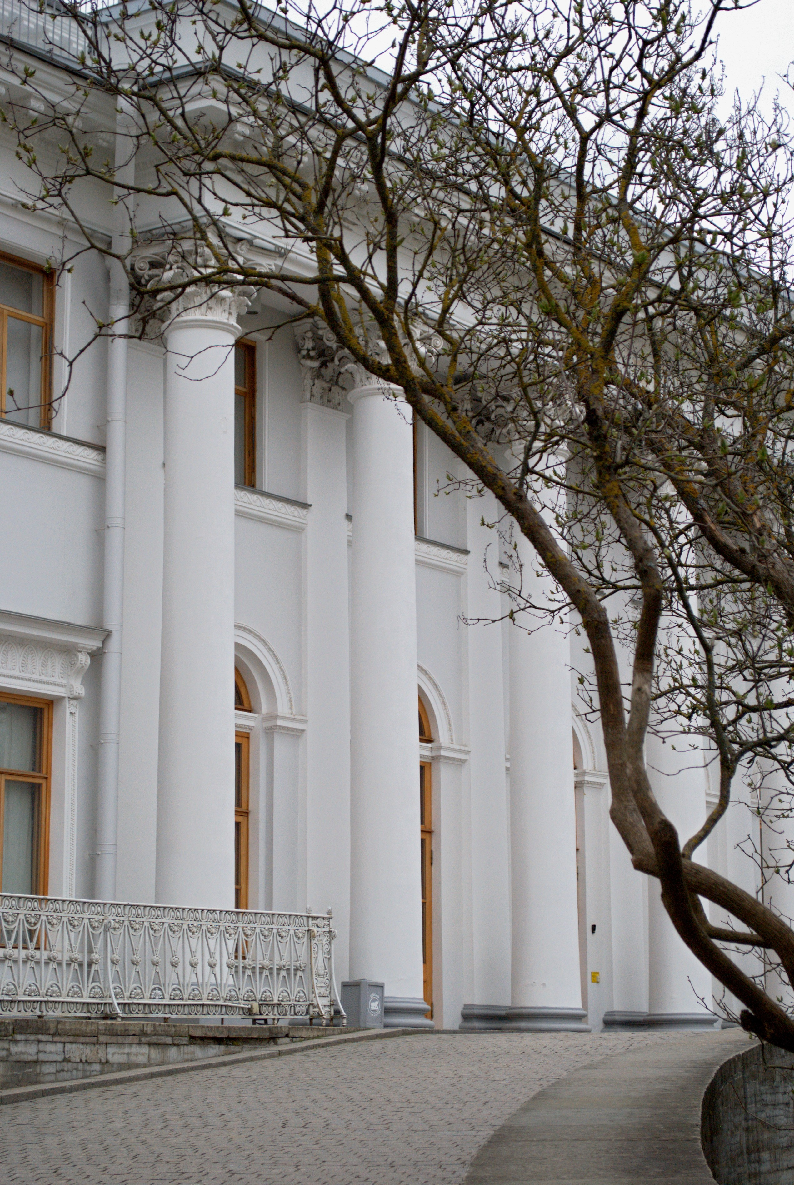 Санкт — Петербург. Надежда Козлова, фотограф, Санкт — Петербург