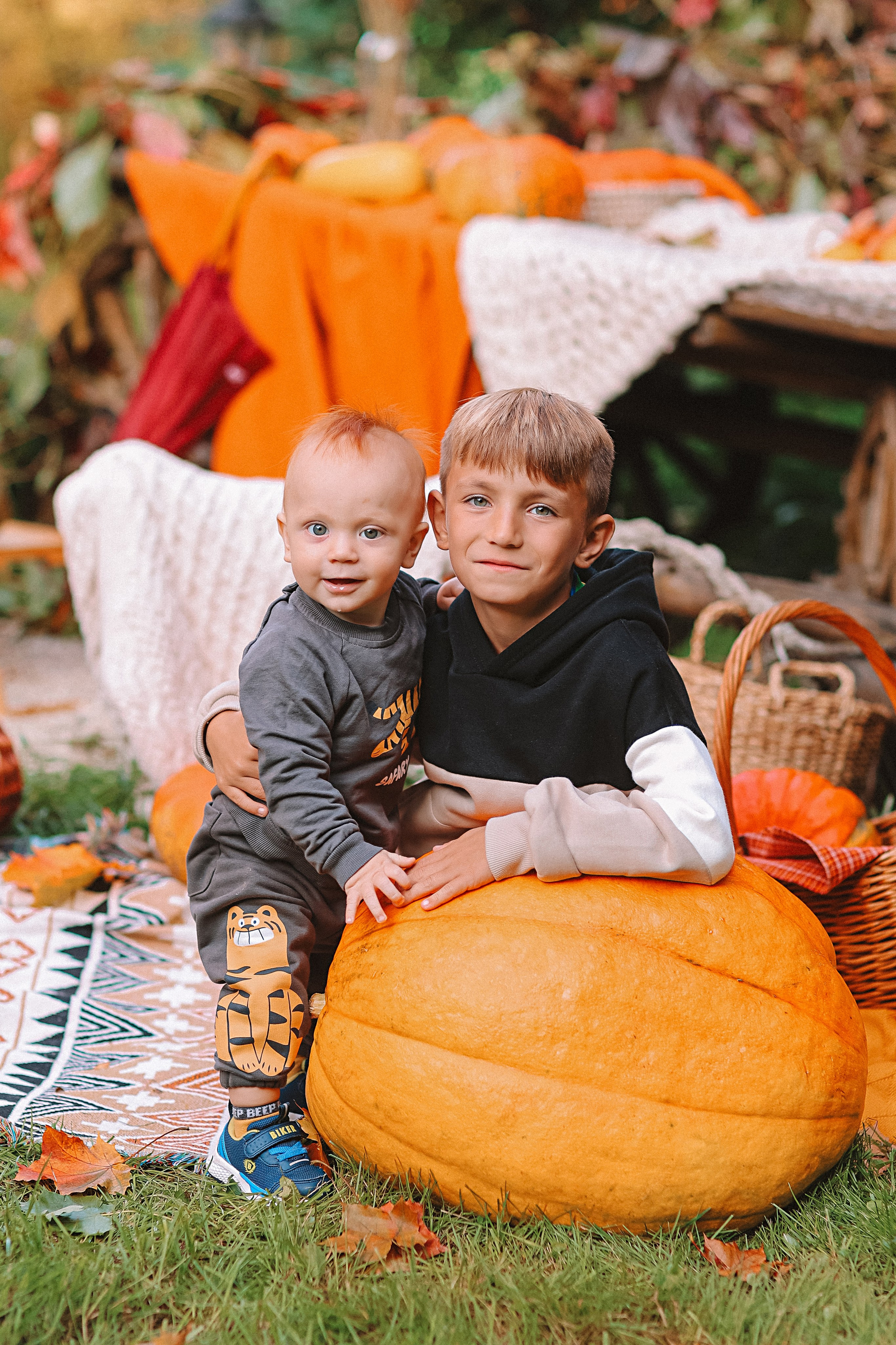 Тыквы. Семейный фотограф Тюмень, фотограф на роды Салмина Мария