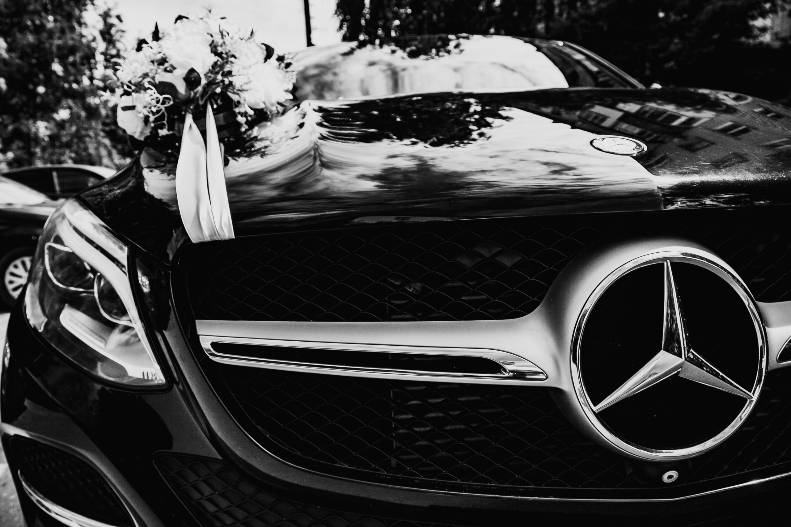 Свадебный фотограф Нижний Новгород. Свадебный и контент фотограф в Нижнем Новгороде Владимир Пресняков