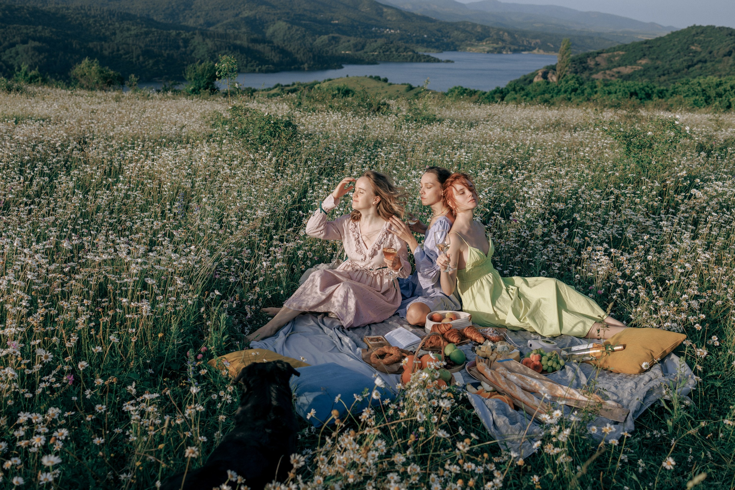 Picnic in the chamomile field in Georgia. Fedor Lemeshko — Destination Wedding and Family Lifestyle photographer