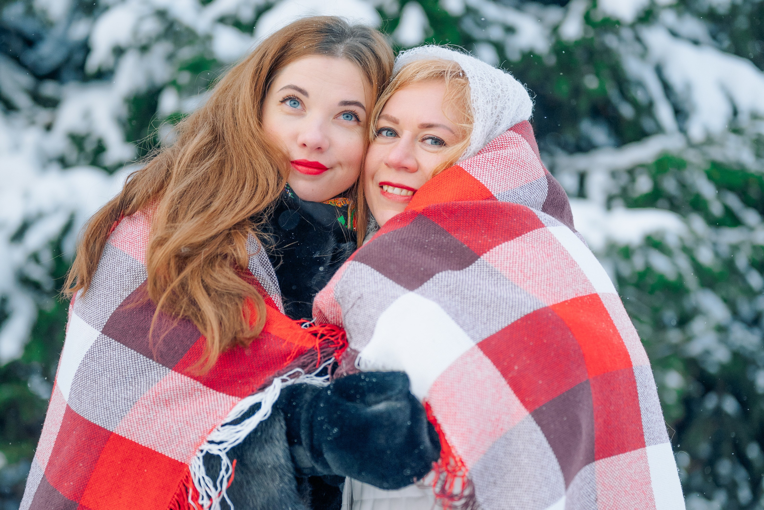 Звенит январская вьюга. Дарья Медведева