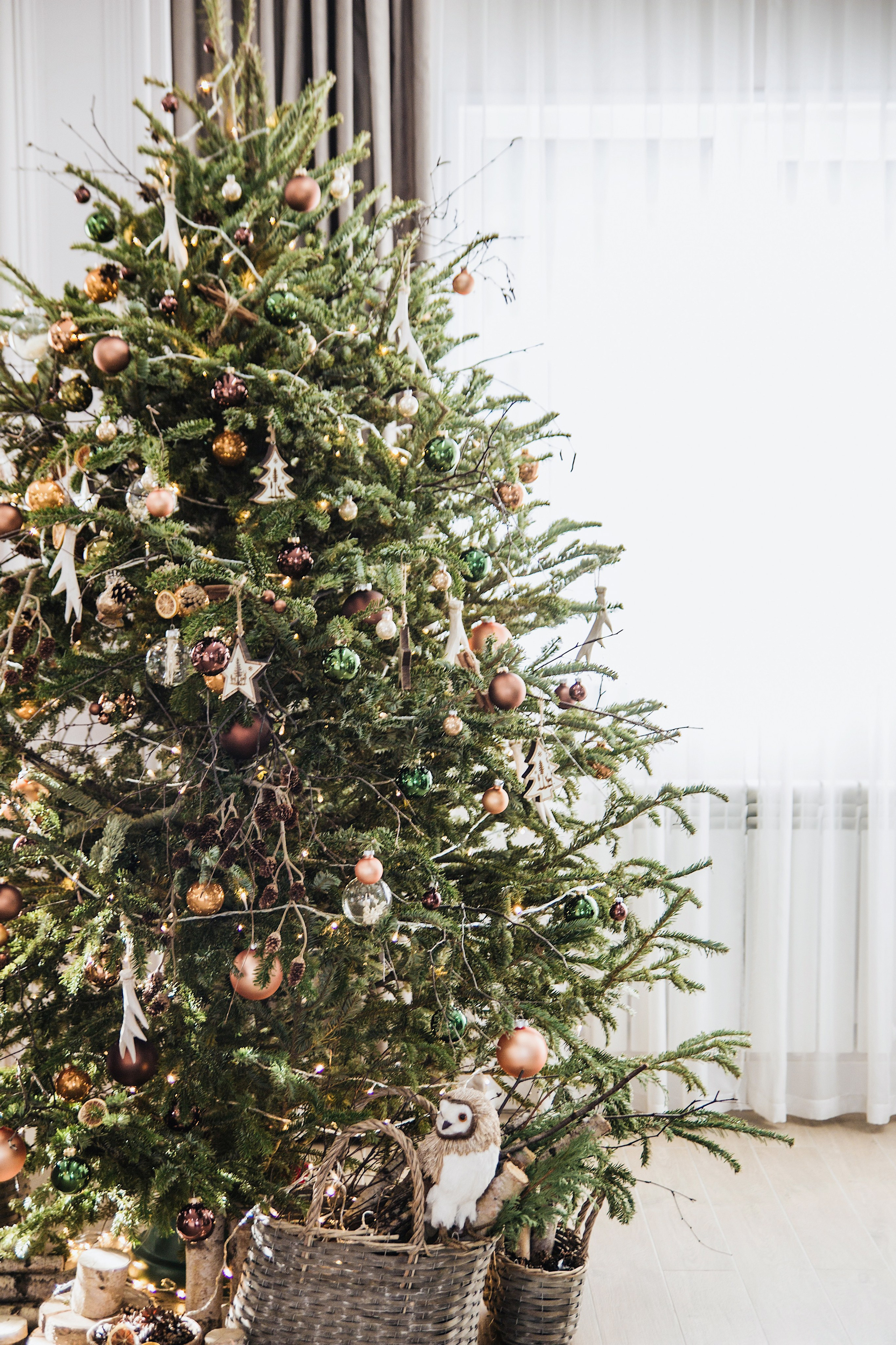 Тисс (Пригород) 2022. Ксения Почтарь. Декоратор и флорист, город Владивосток