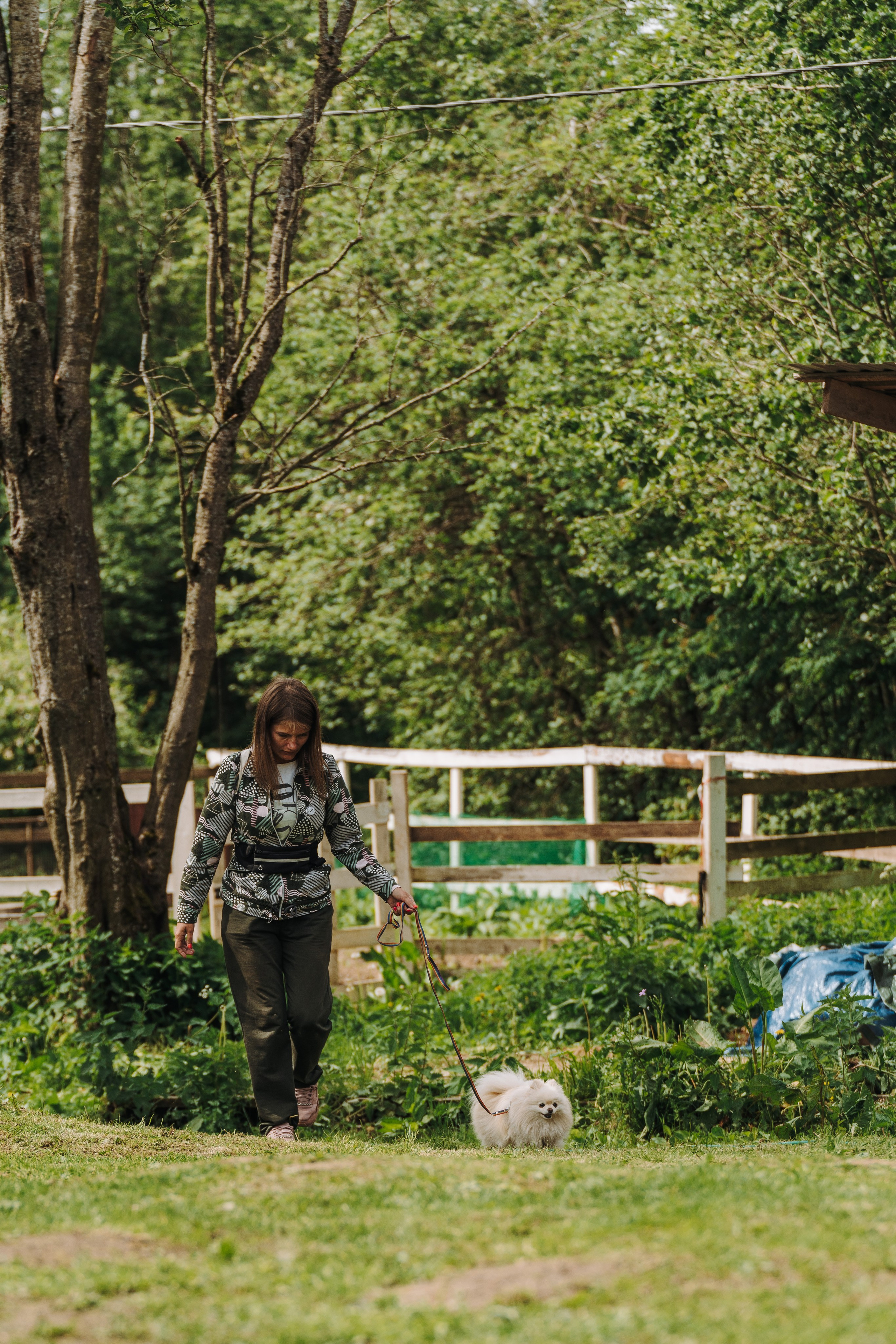 Соревнования по ноузворку. Фотограф анималист в Спб недорого Олеся Майорова