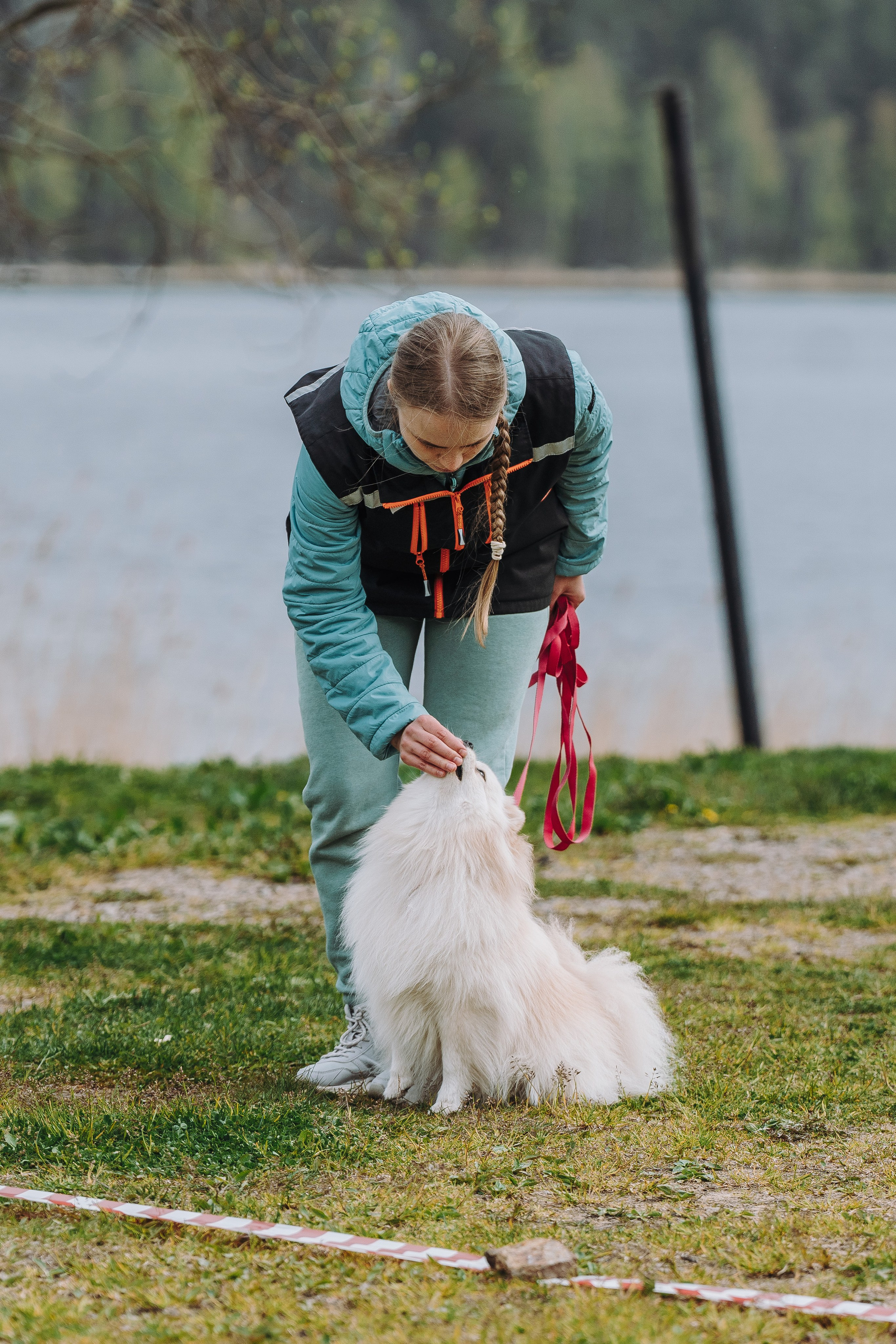 Соревнования по ноузворку в Лосево. Фотограф анималист в Спб недорого Олеся Майорова
