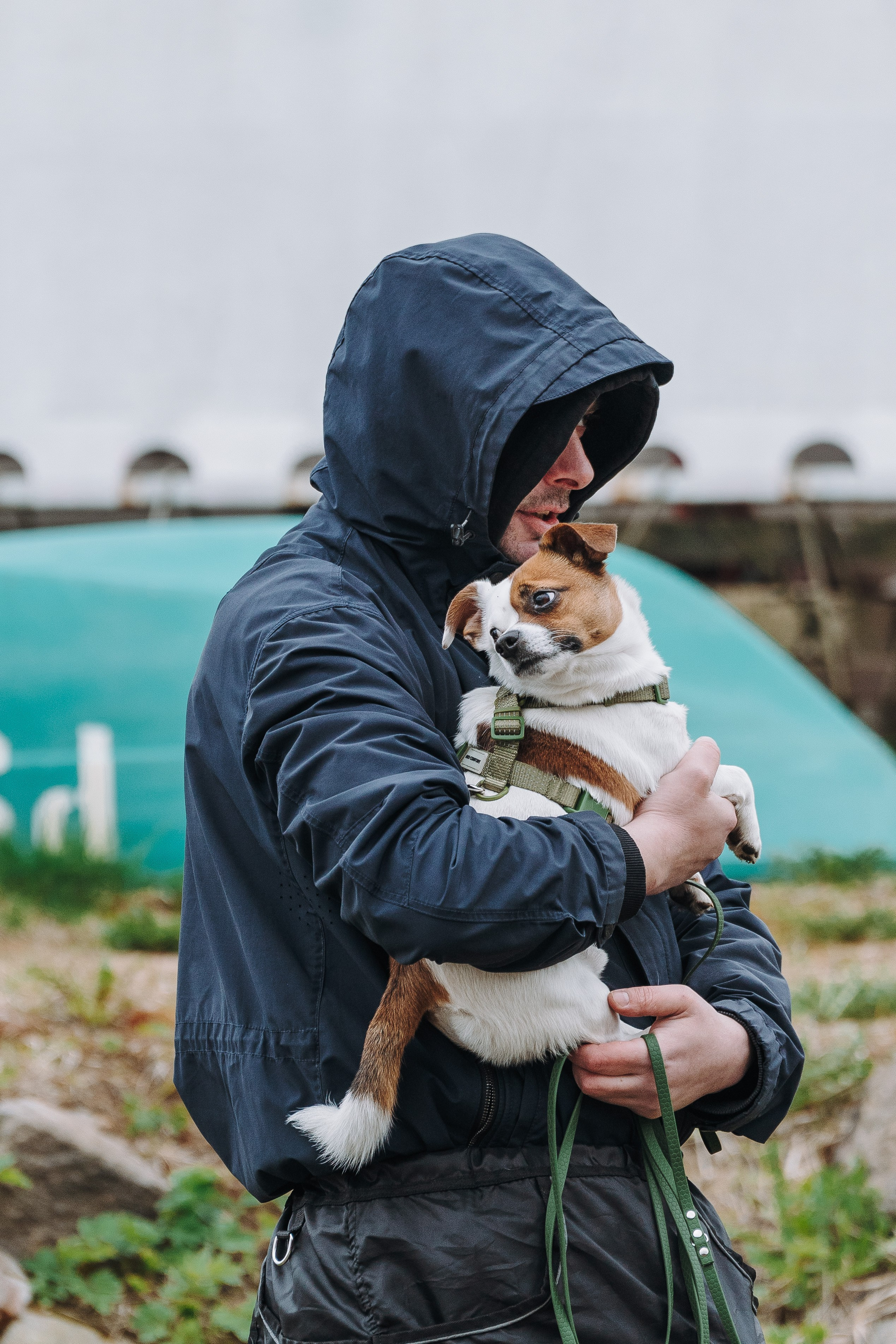 Соревнования по ноузворку в Лосево. Фотограф анималист в Спб недорого Олеся Майорова