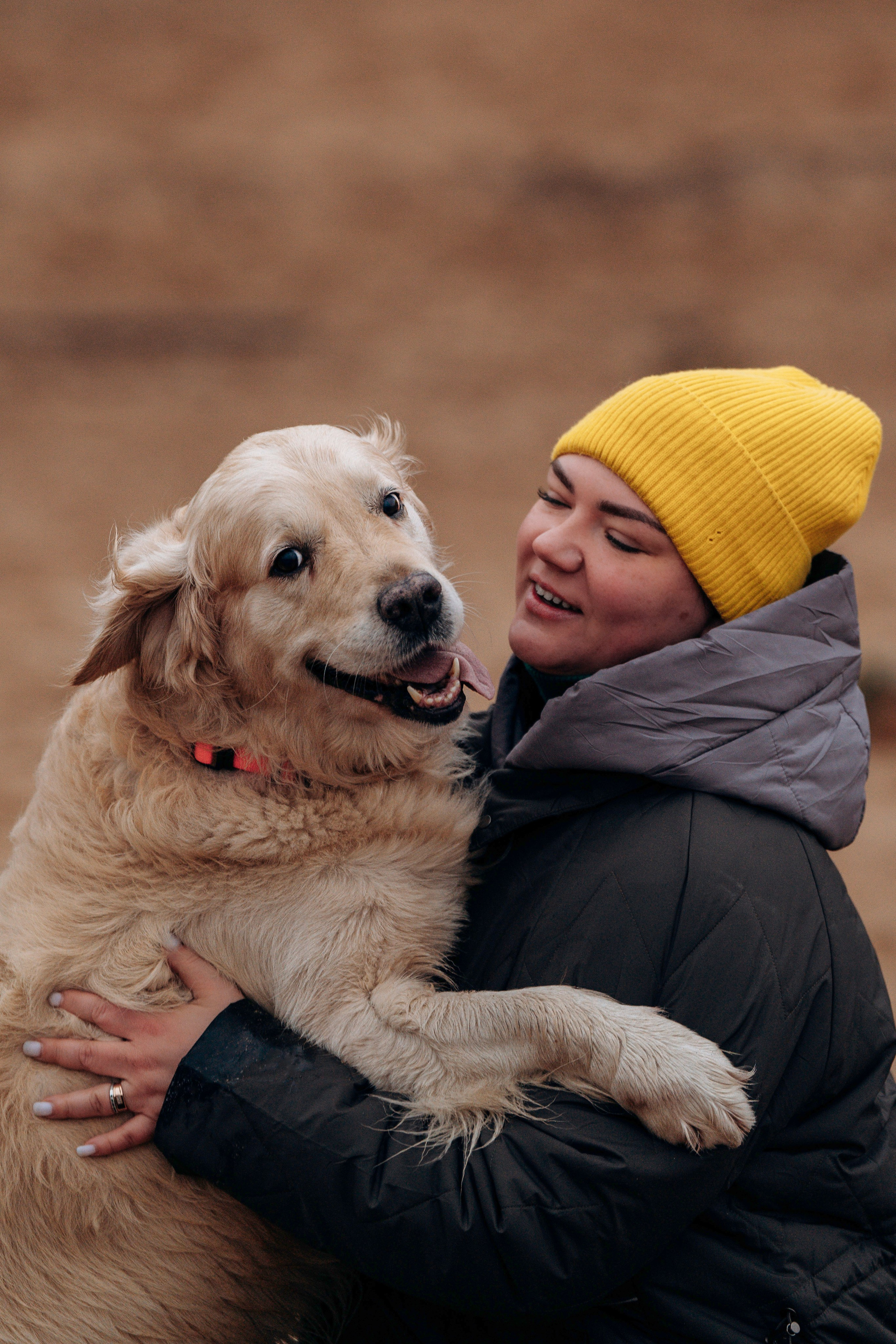Асти, Крис и Александра. Фотограф анималист в Спб недорого Олеся Майорова