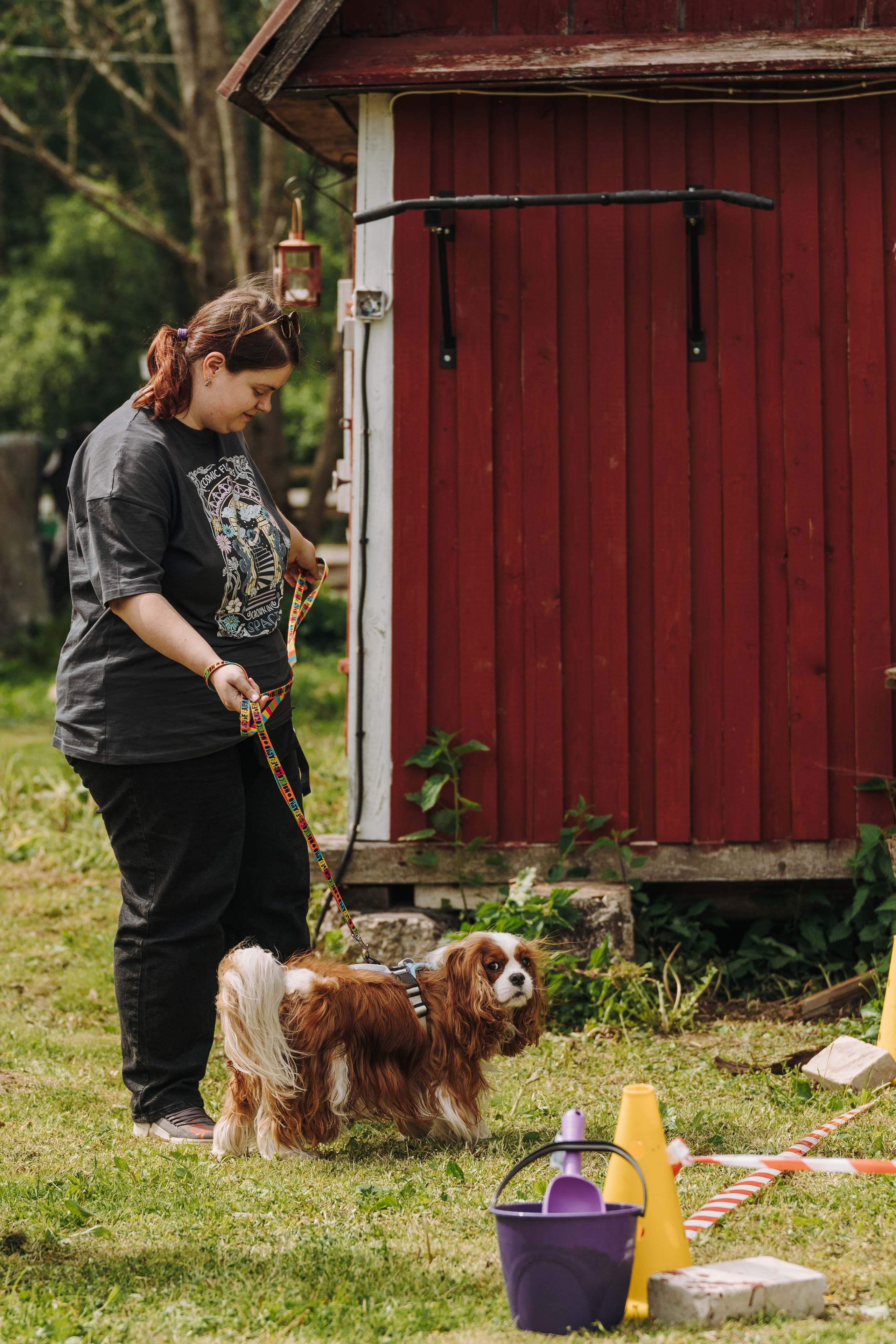 Соревнования по ноузворку. Фотограф анималист в Спб недорого Олеся Майорова