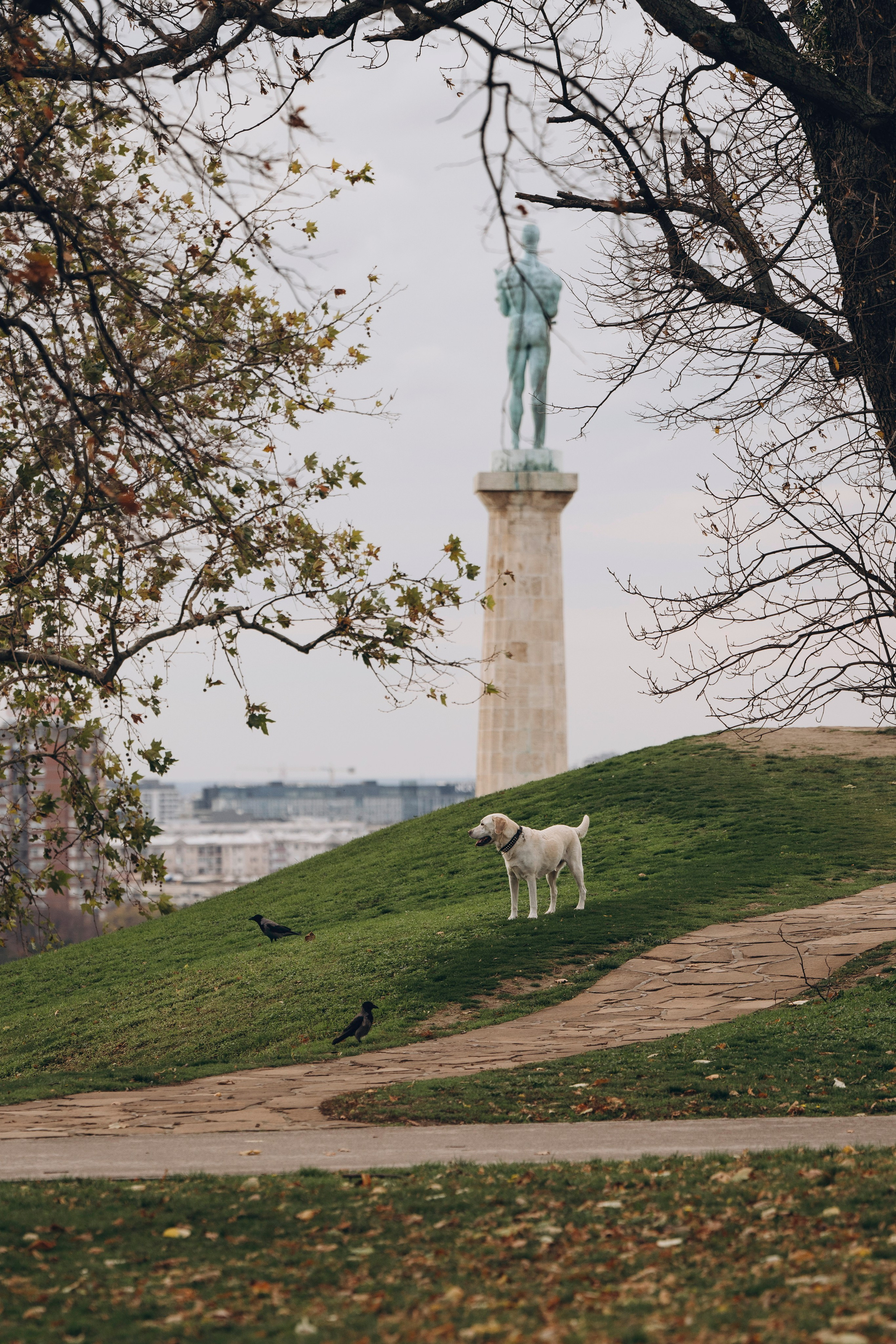 Вати, Лена и Леван. Фотограф анималист в Спб недорого Олеся Майорова