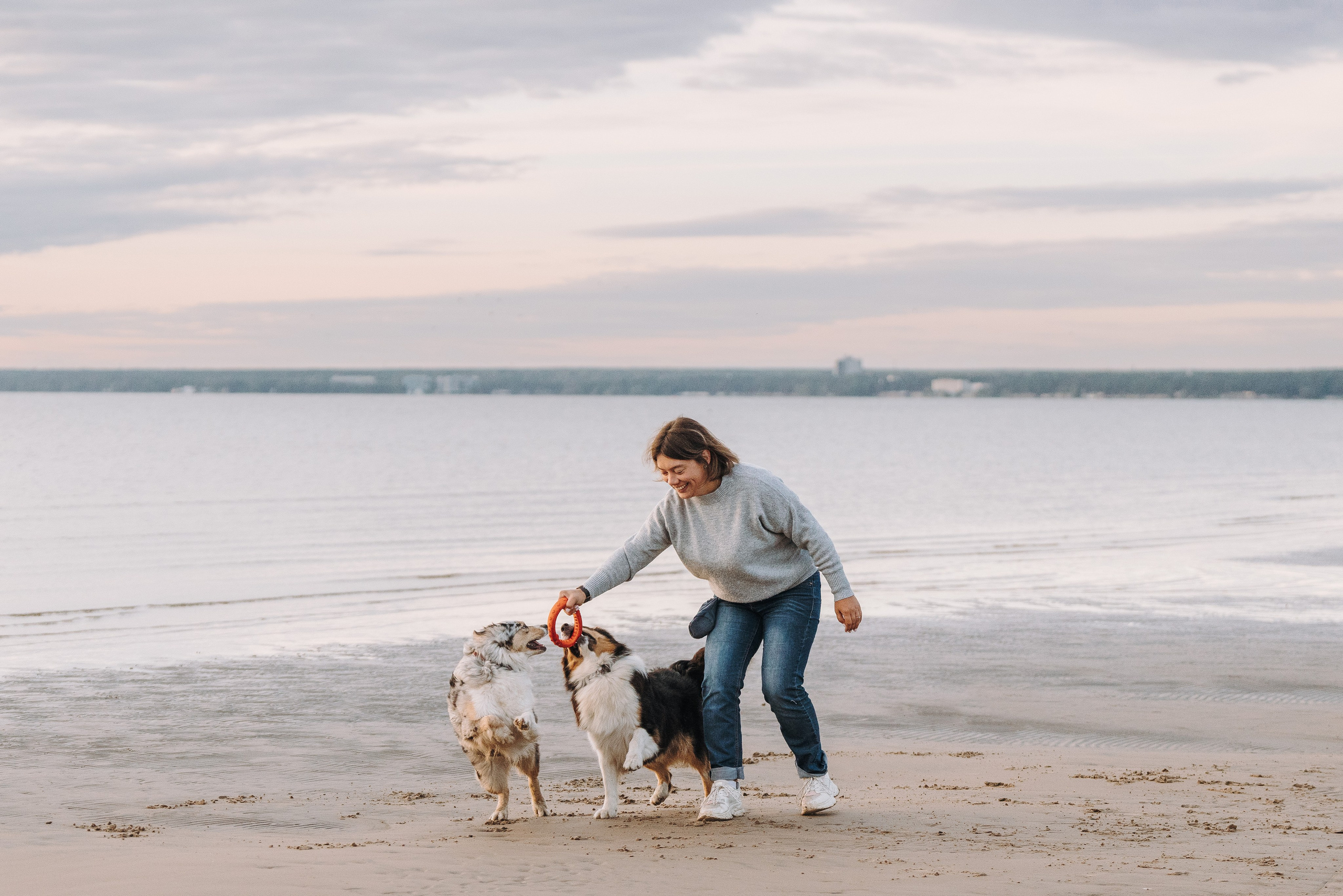 Фотограф анималист в Спб. Фотограф анималист в Спб недорого Олеся Майорова
