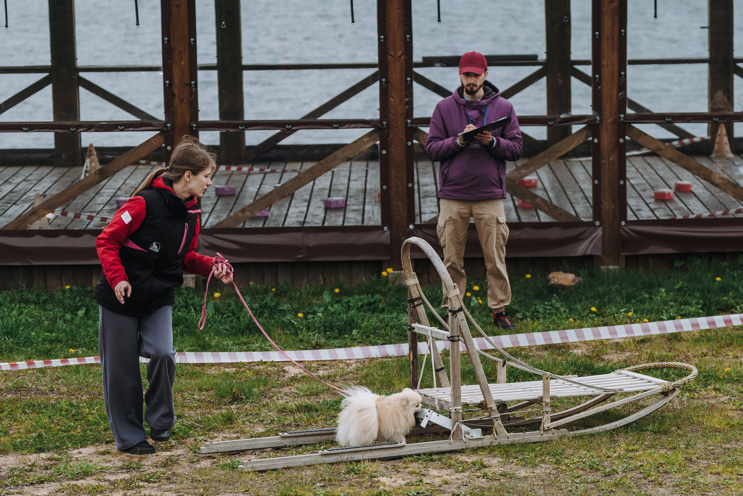 Соревнования по ноузворку в Лосево. Фотограф анималист в Спб недорого Олеся Майорова