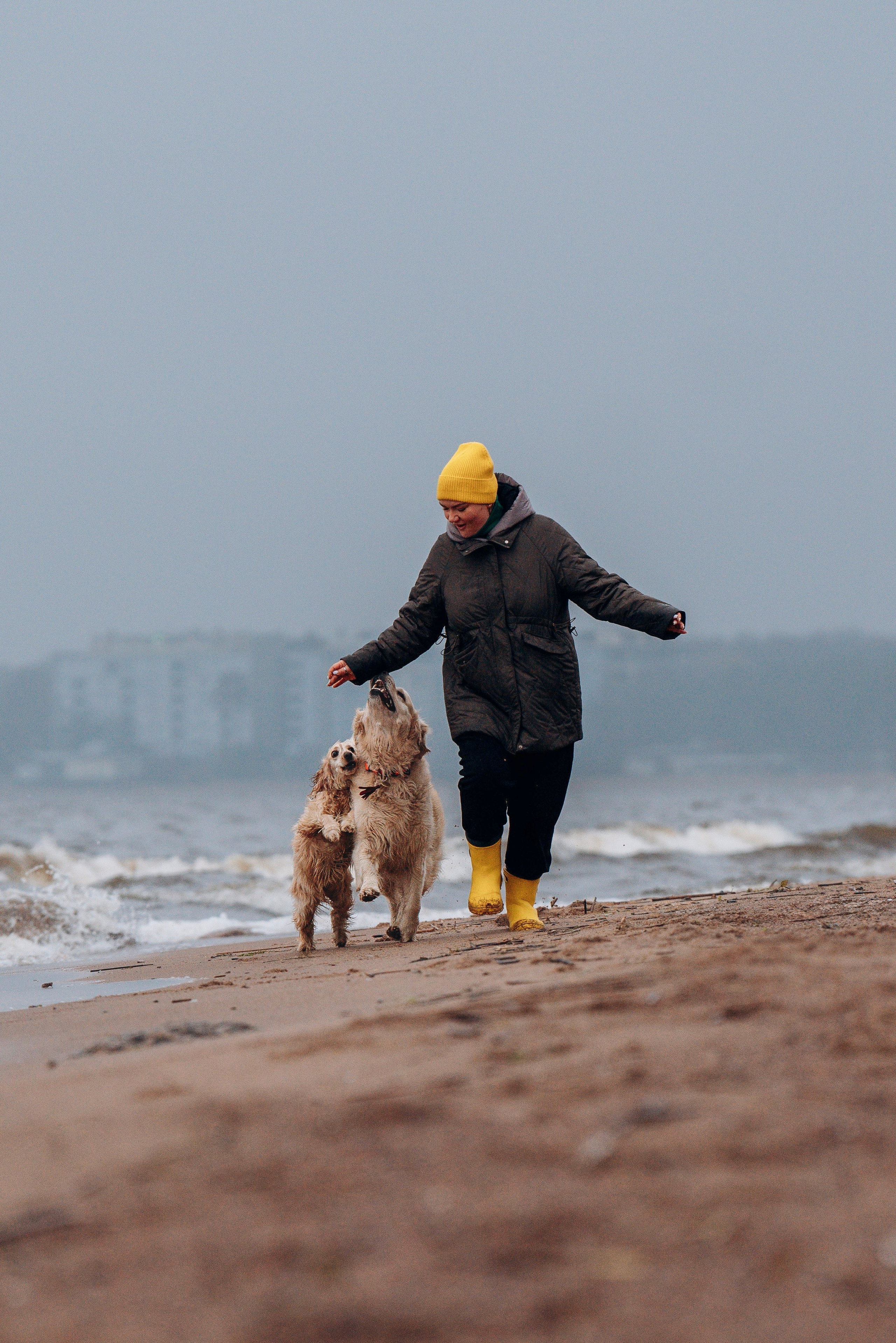 Асти, Крис и Александра. Фотограф анималист в Спб недорого Олеся Майорова