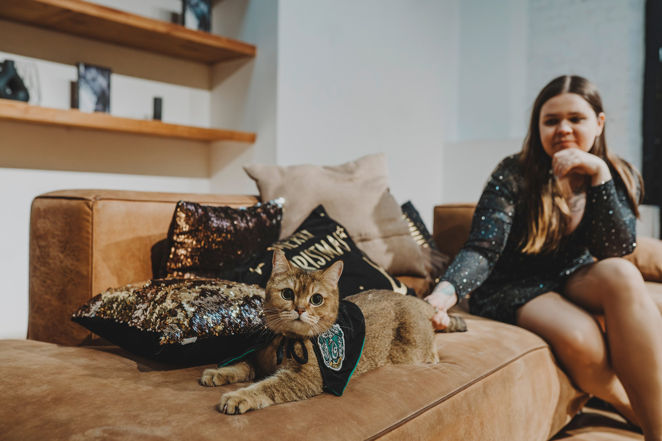 Аня, Андуин и Тесс. Фотограф анималист в Спб недорого Олеся Майорова