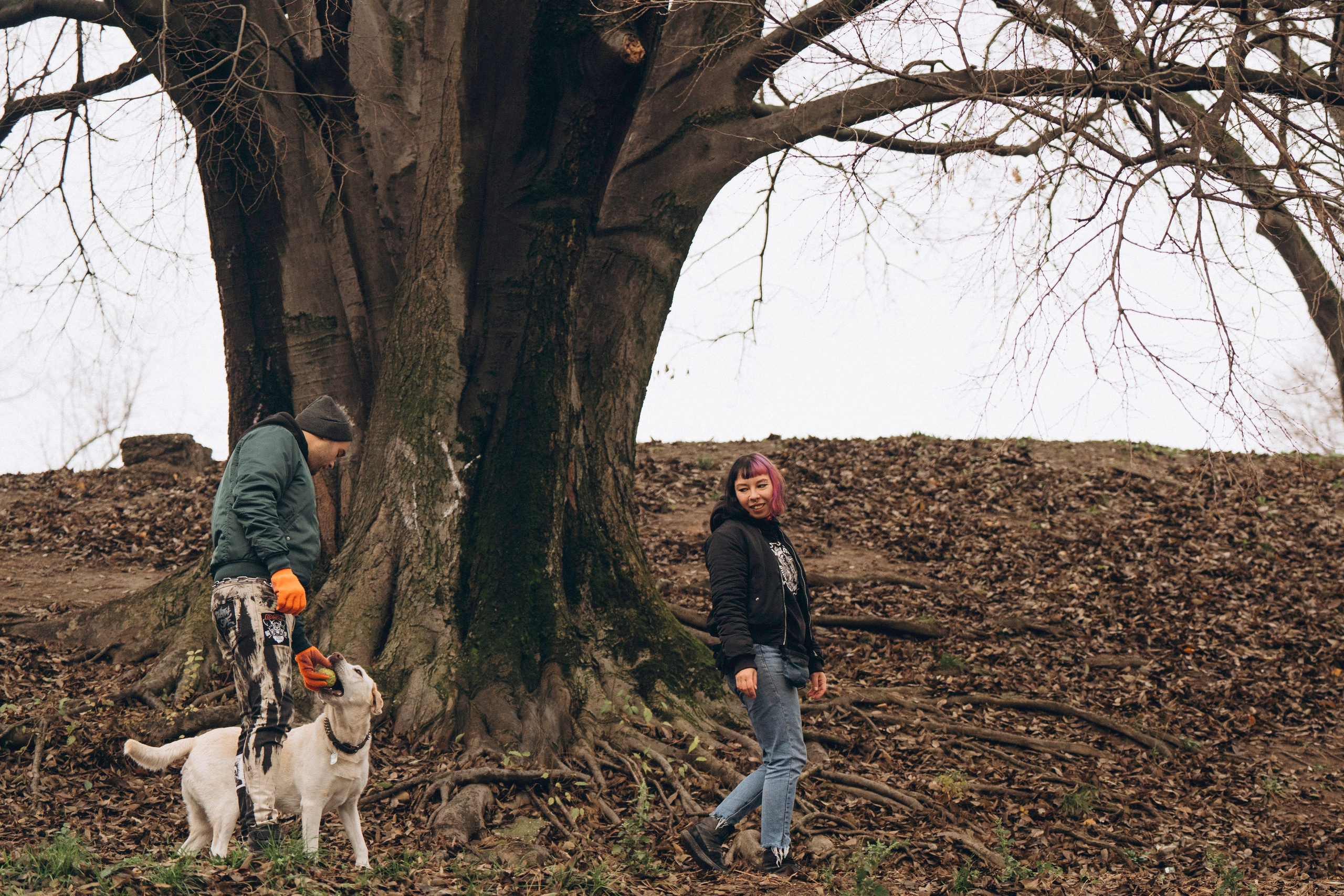 Вати, Лена и Леван. Фотограф анималист в Спб недорого Олеся Майорова