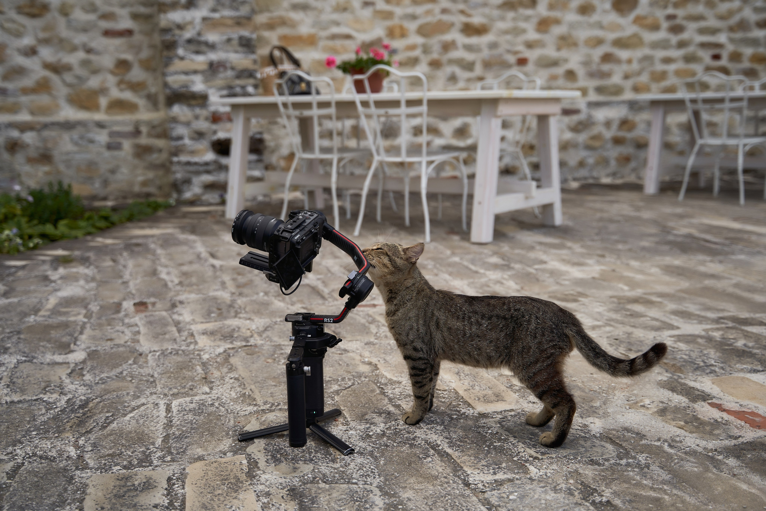 Love Story в Шато Андре. ТВИНС СТУДИО — лучшие свадебные фотографы и видеографы в Краснодаре