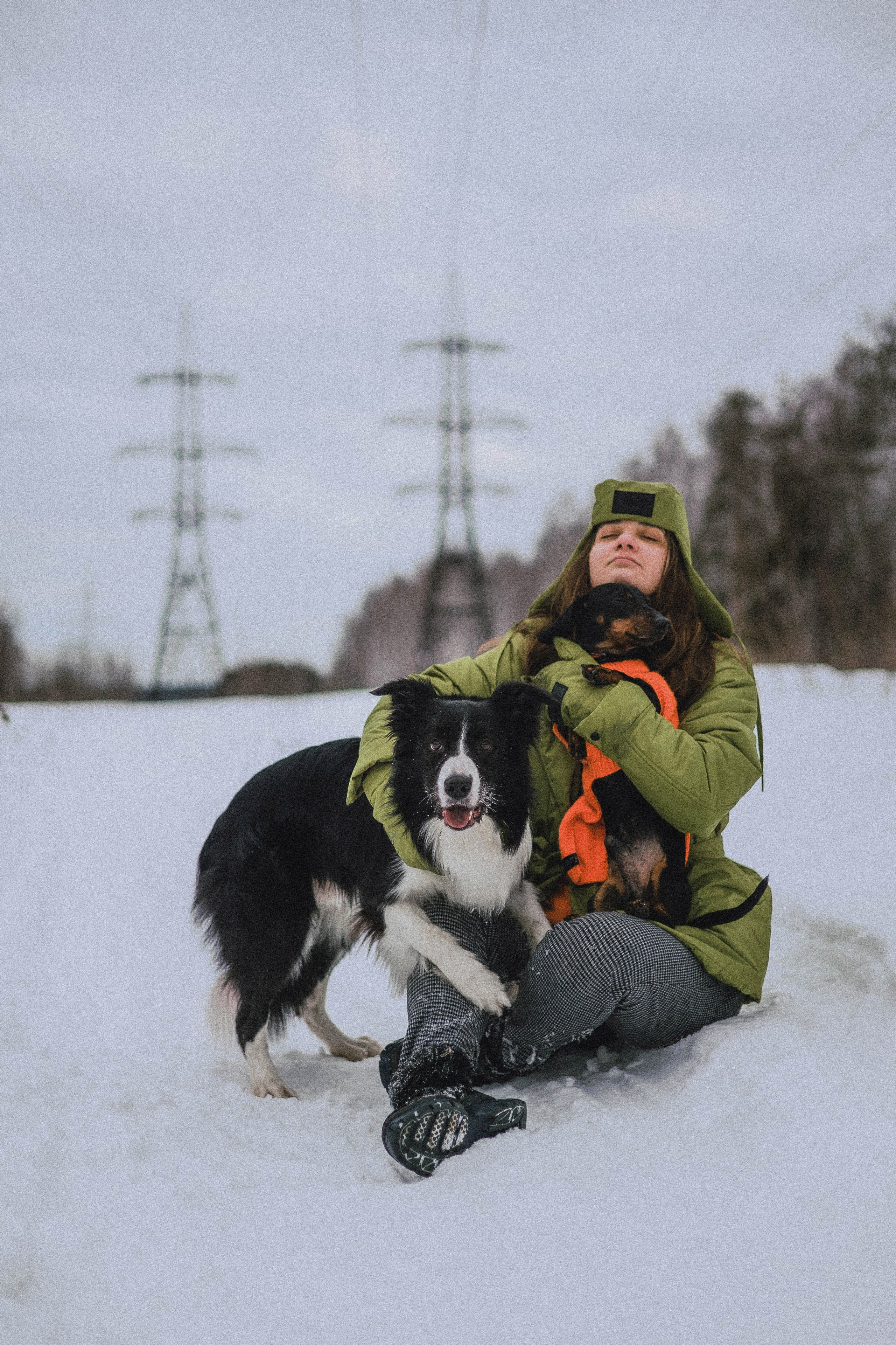 Маша, Рэм и Ньютон. Фотограф-анималист Богданова Полина