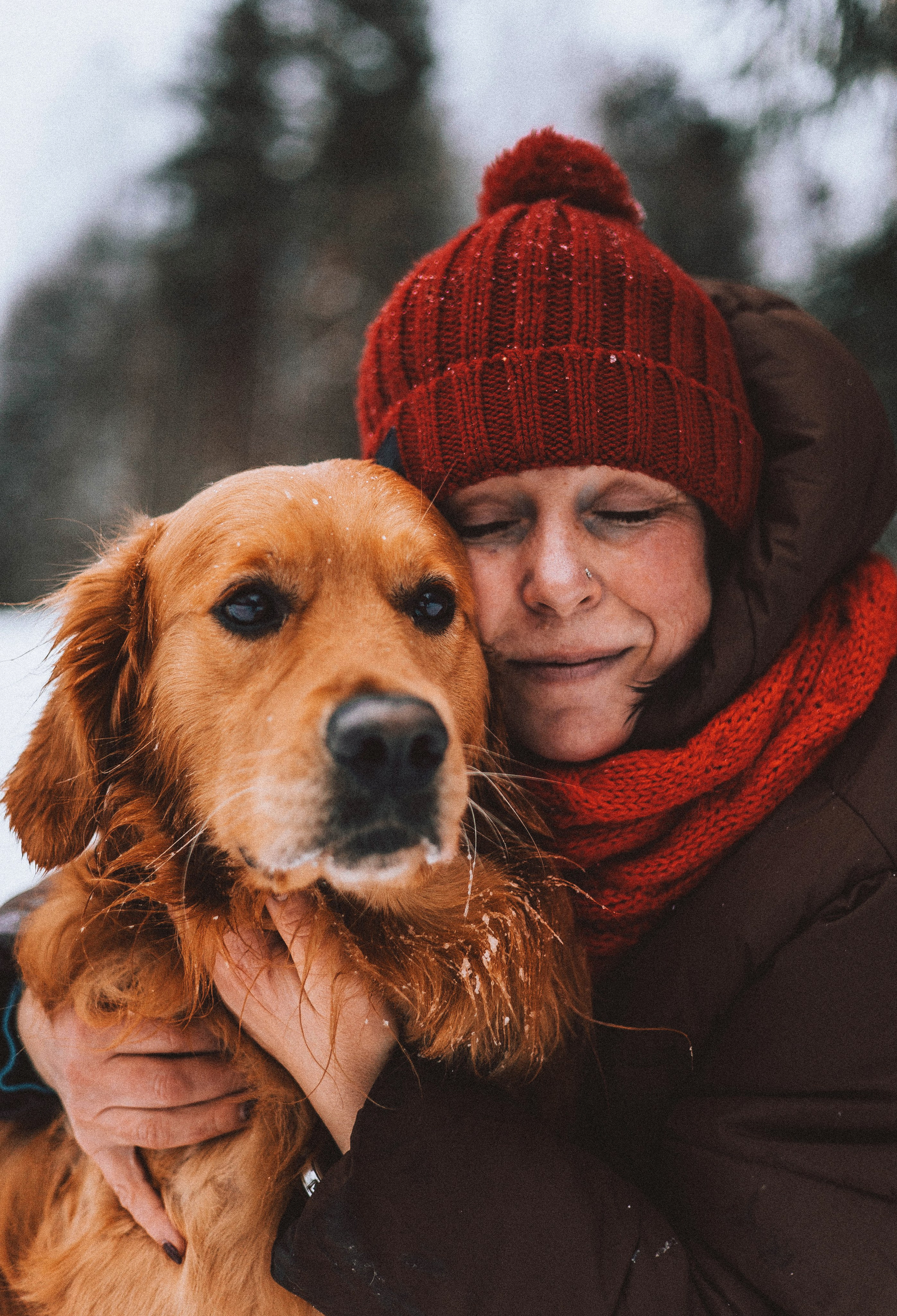 Саша, Юля, Грэй и Джой. Фотограф-анималист Богданова Полина