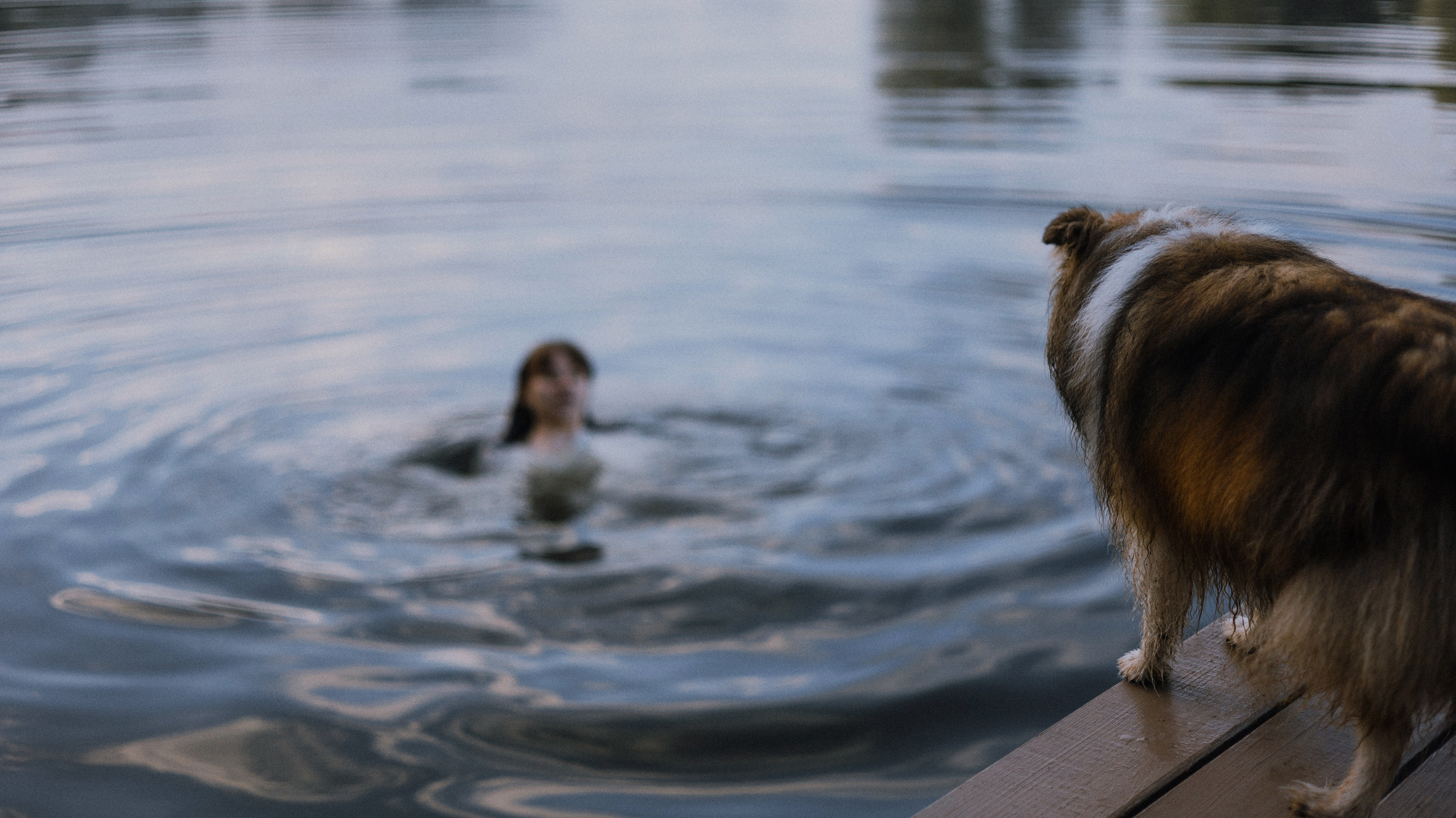 Аня и Скай. Фотограф-анималист Богданова Полина