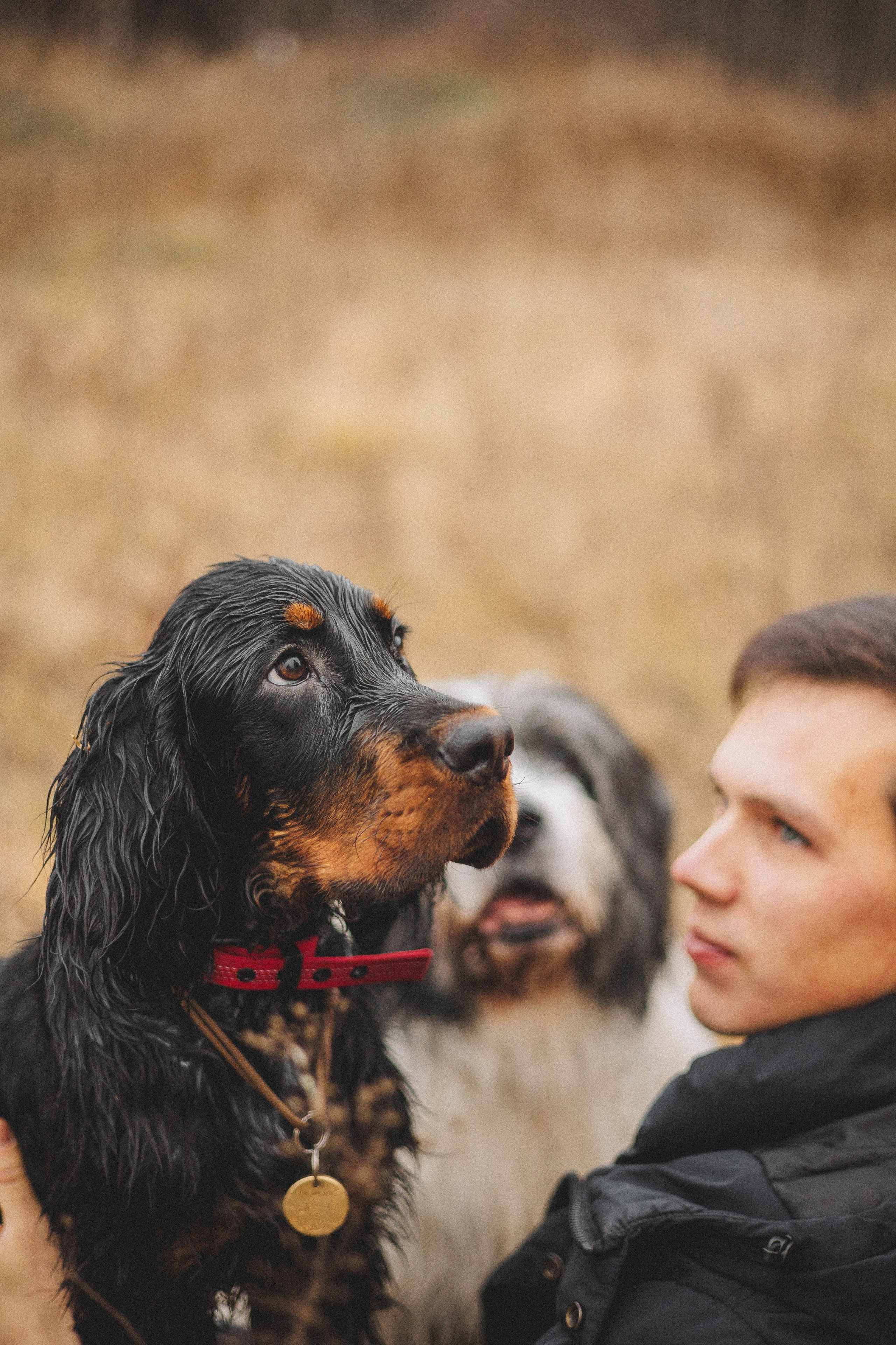 Даша, Глеб, Барс и Бруно. Фотограф-анималист Богданова Полина