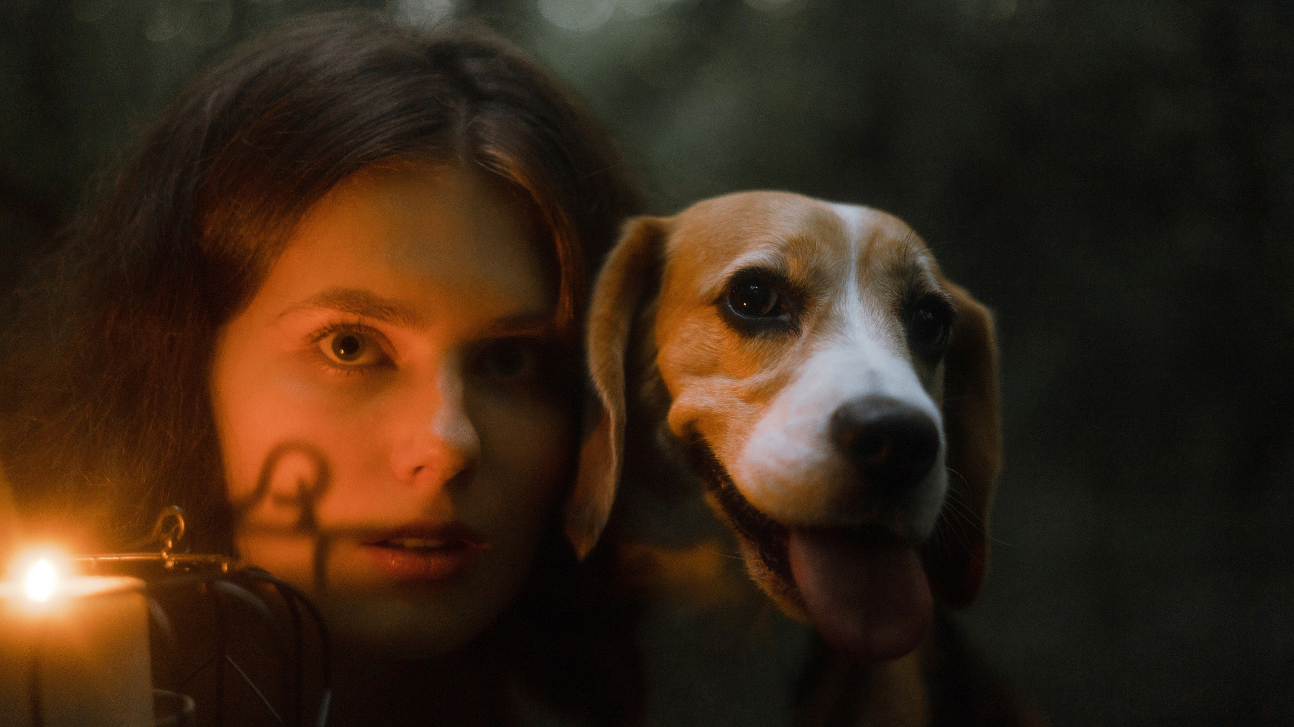 Лиза и Сара. Фотограф-анималист Богданова Полина