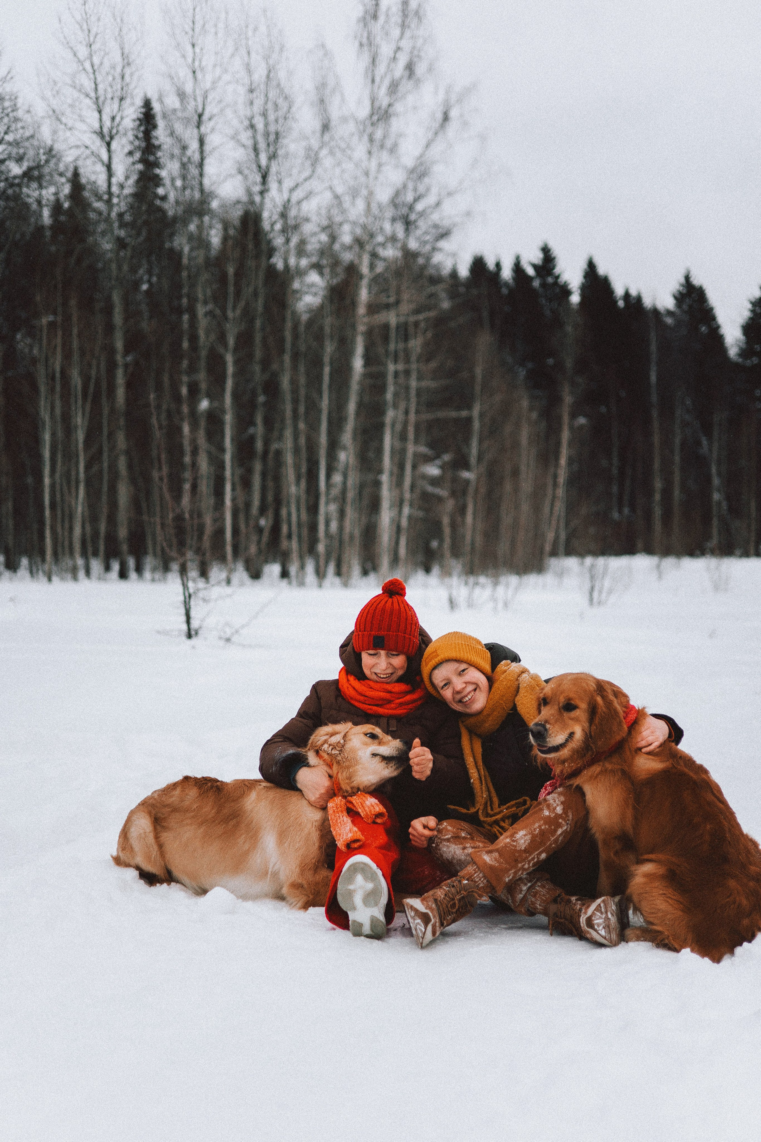 Саша, Юля, Грэй и Джой. Фотограф-анималист Богданова Полина