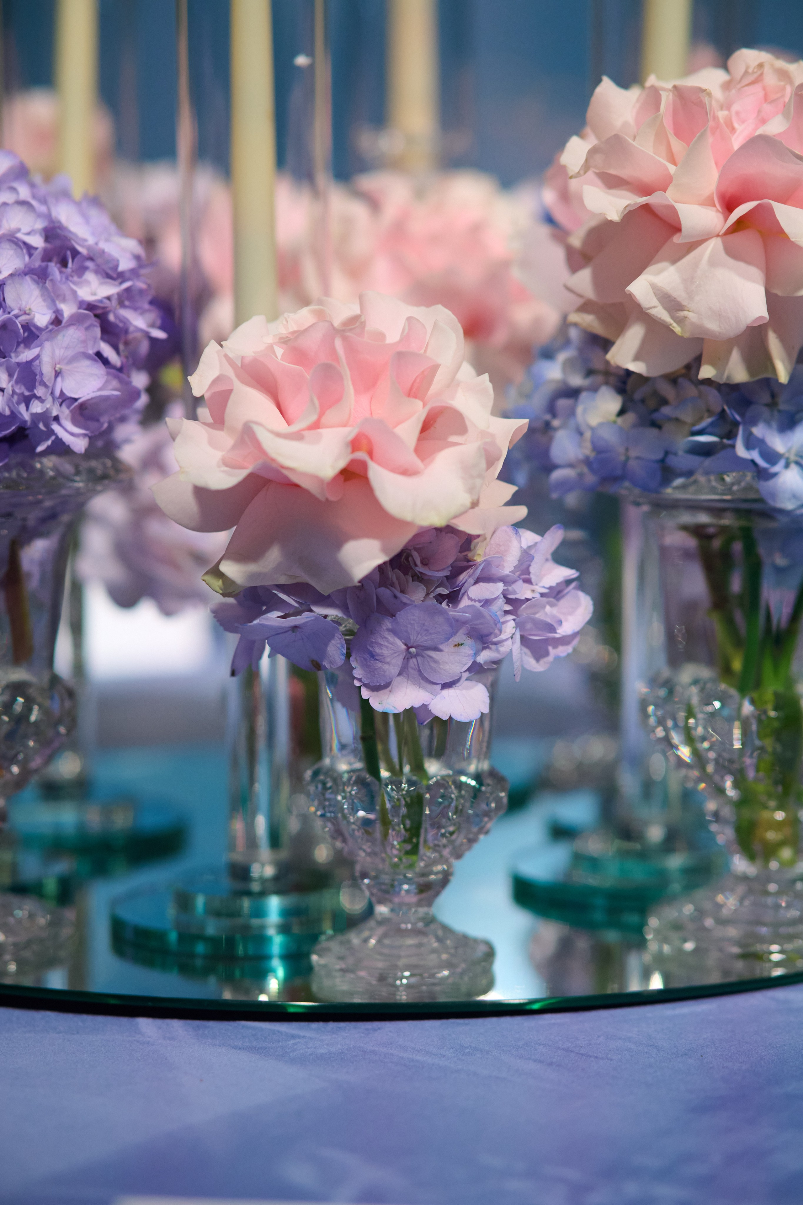 Колибри. Репортажный фотограф в Москве и Санкт-Петербурге — Профессиональная съёмка мероприятий | Данила Золкин