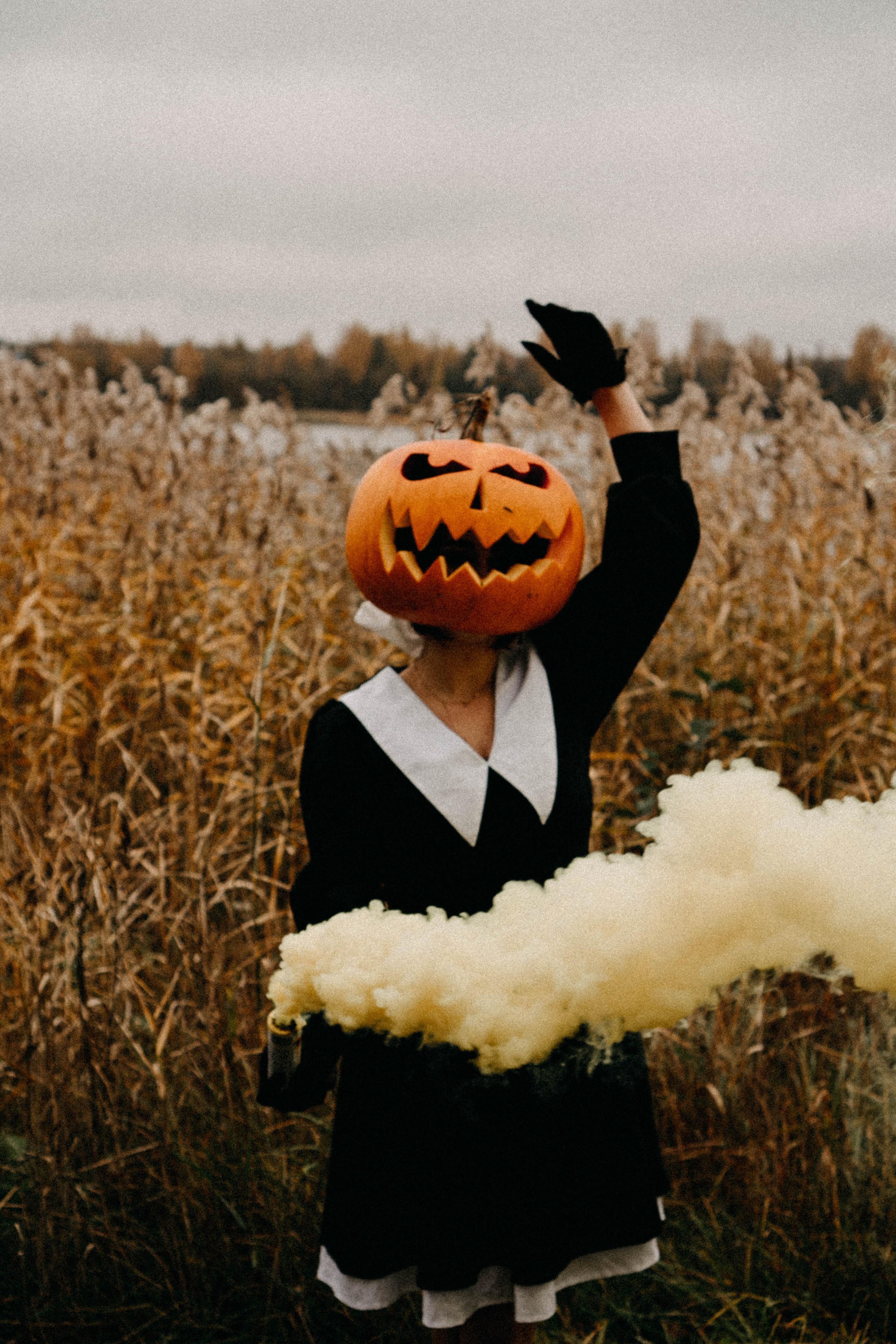 Осеняя. Профессиональный фотограф, Санкт-Петербург — Виктория Богомолова