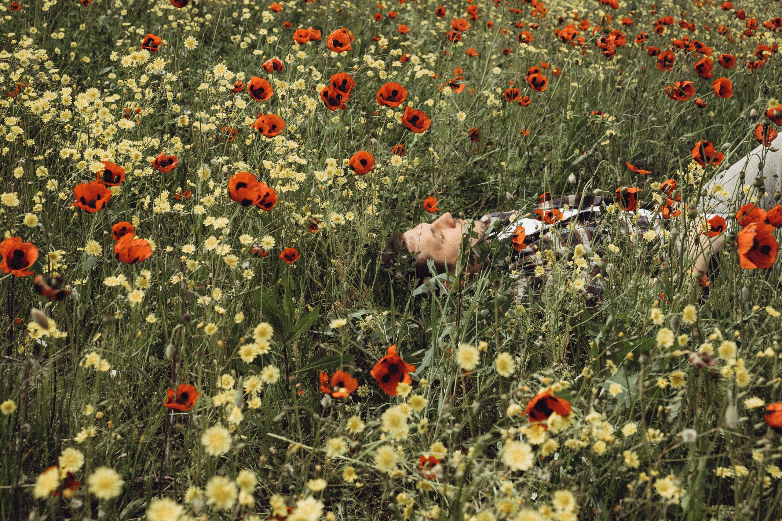 Маки. Профессиональный фотограф, Санкт-Петербург — Виктория Богомолова