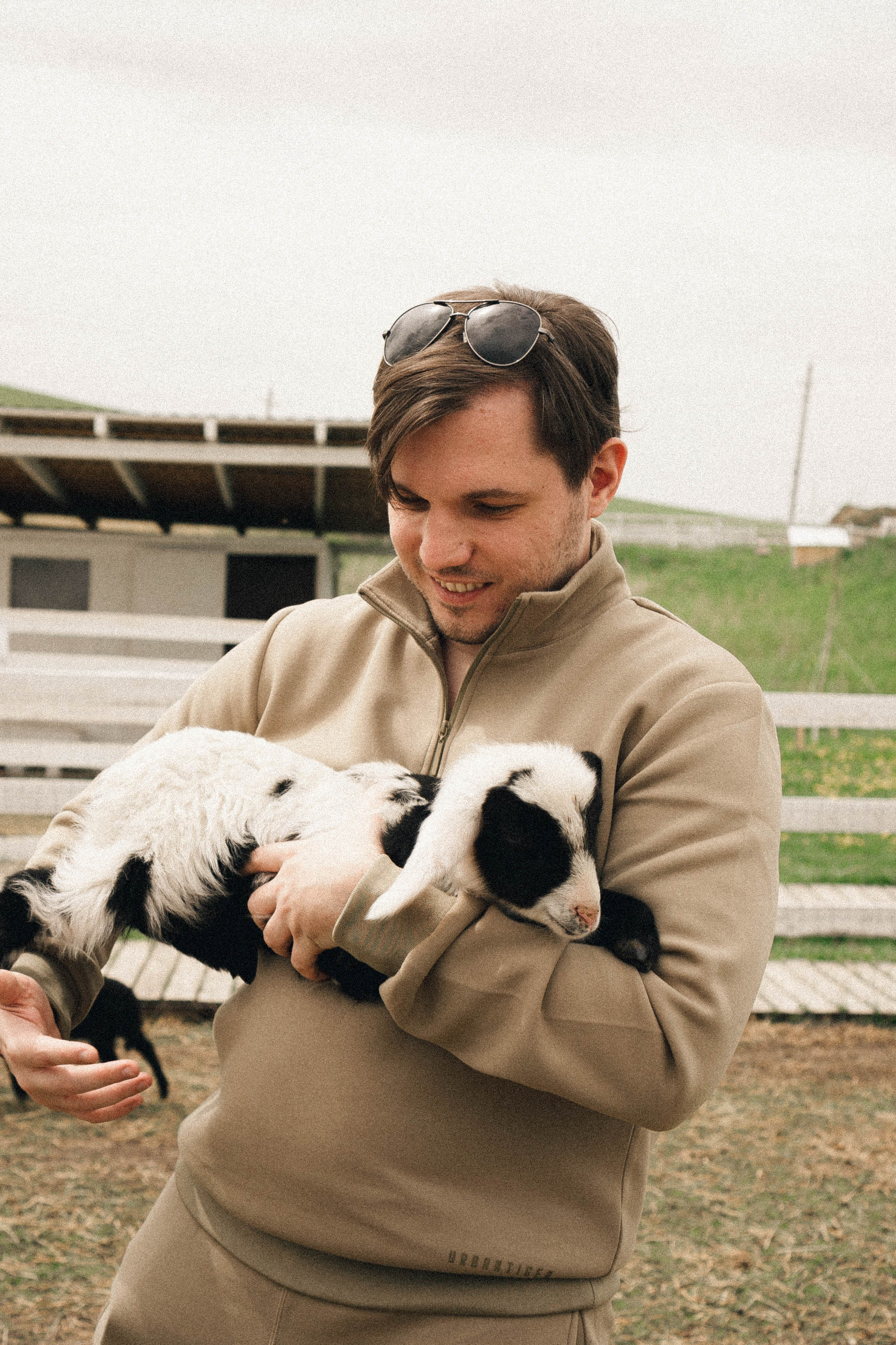 Ферма Альпак. Профессиональный фотограф, Санкт-Петербург — Виктория Богомолова