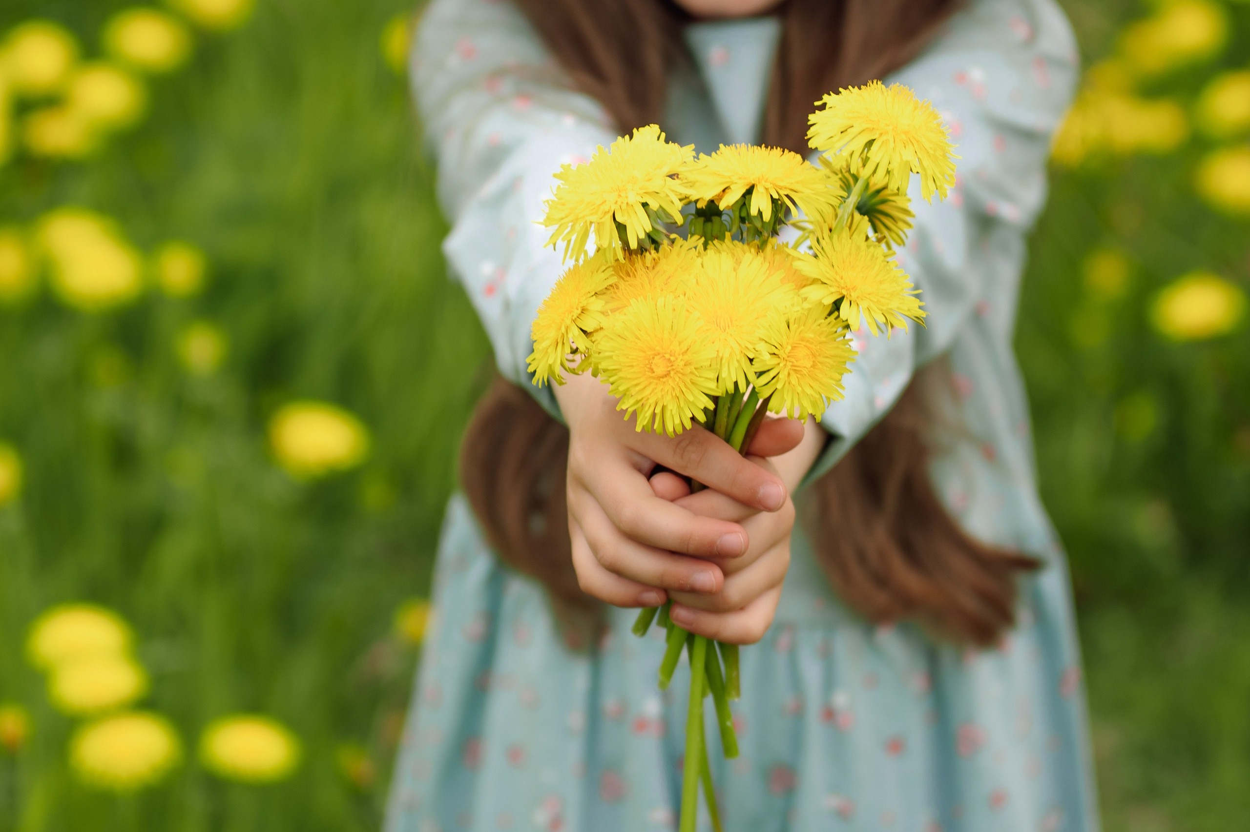 Семейная. Профессиональный фотограф и видеограф в Сортавала Ася Легконогова