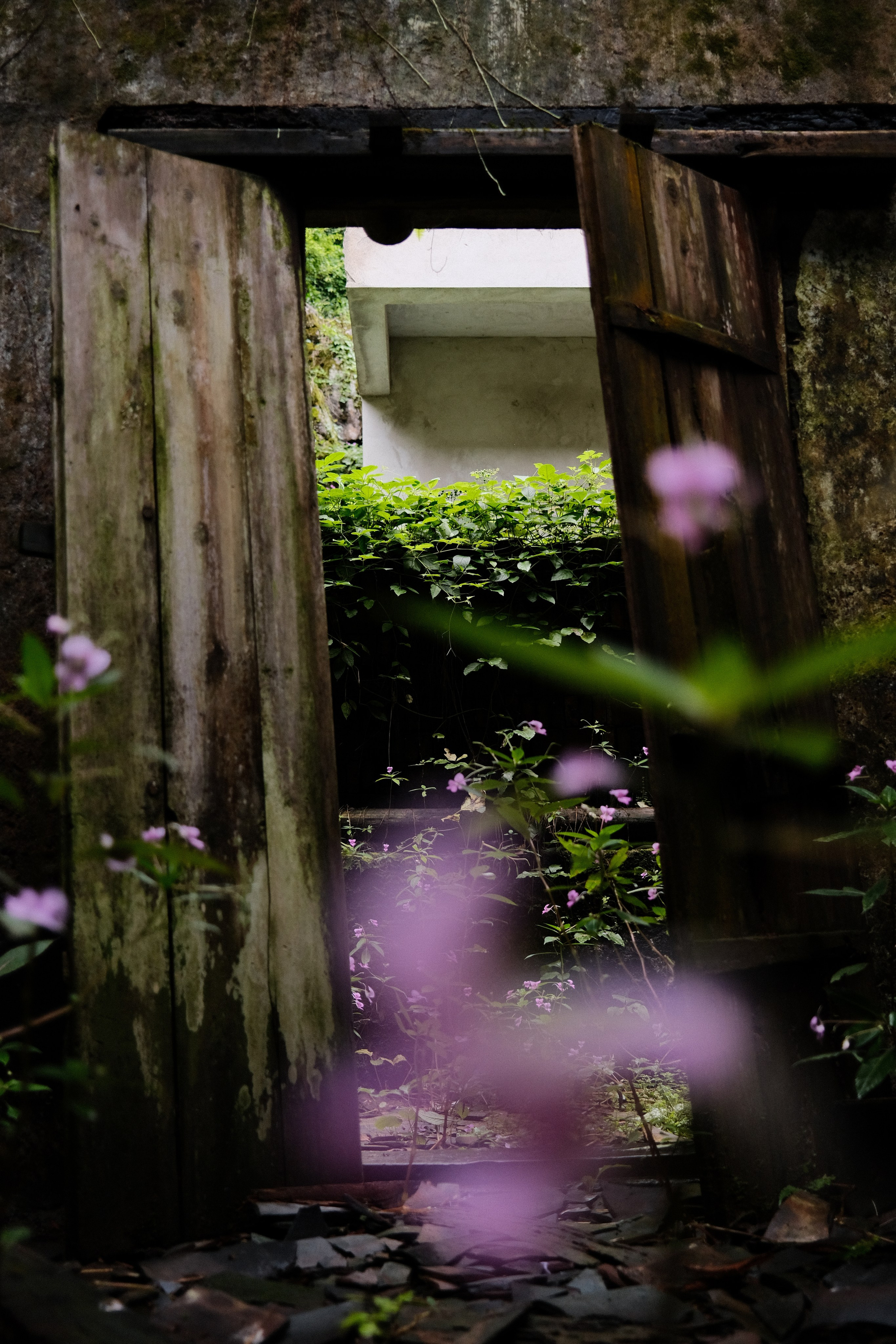 Yangshuo China Guiling. Фотограф В Гуанчжоу и Шэньчжэнь Андрей Лопатин