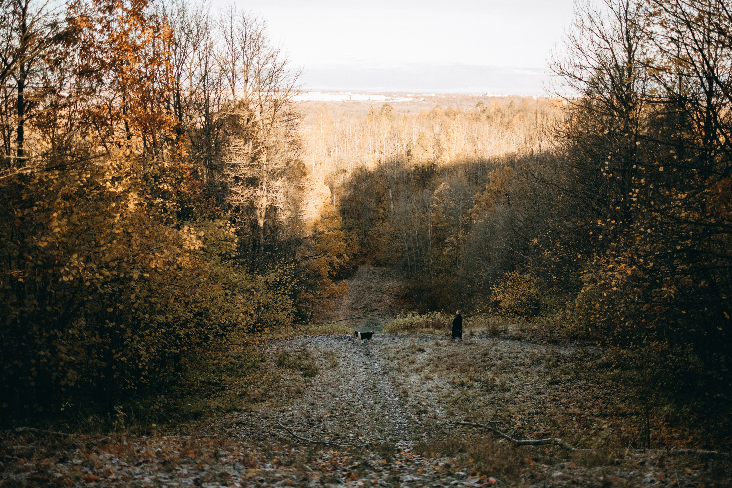 Ия и Барт. Фотограф — Анималист | Санкт-Петербург