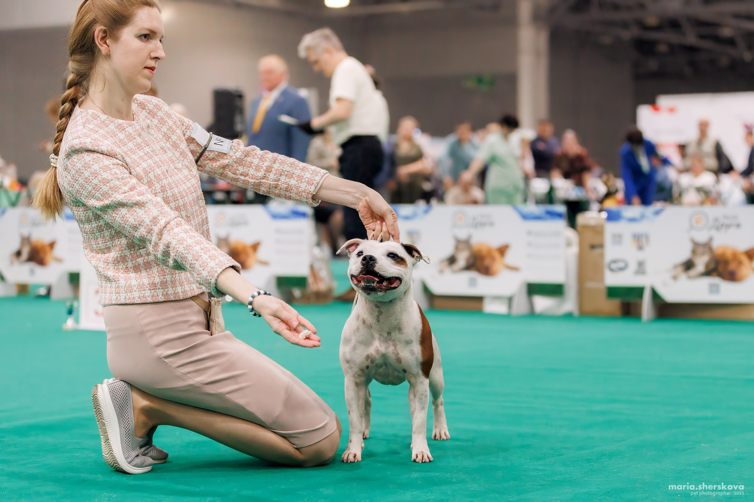 Выставки. Фотограф-анималист в Калуге Мария Шерскова