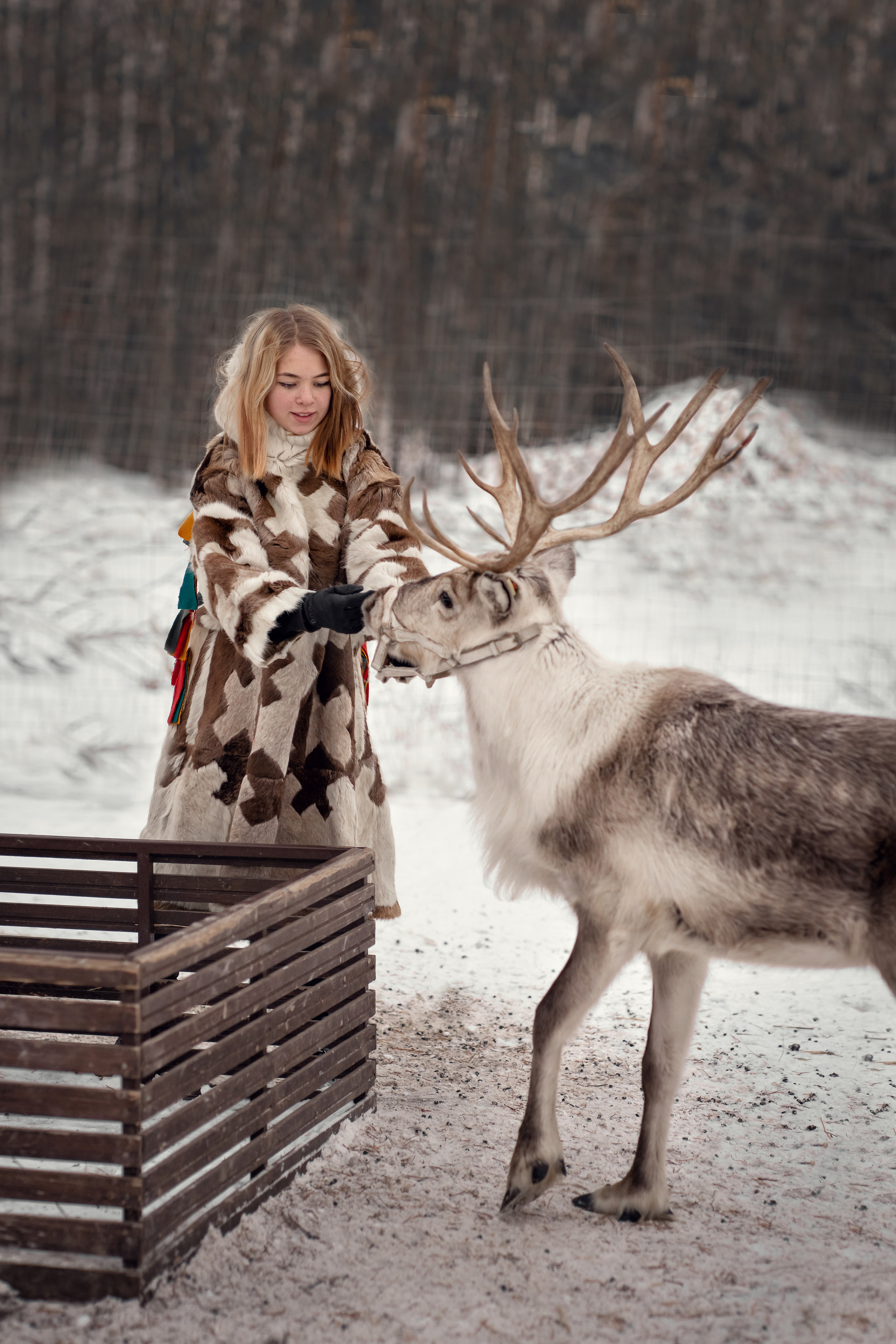 Индивидуальная фотосессия. Фотограф Татьяна Митрофанова