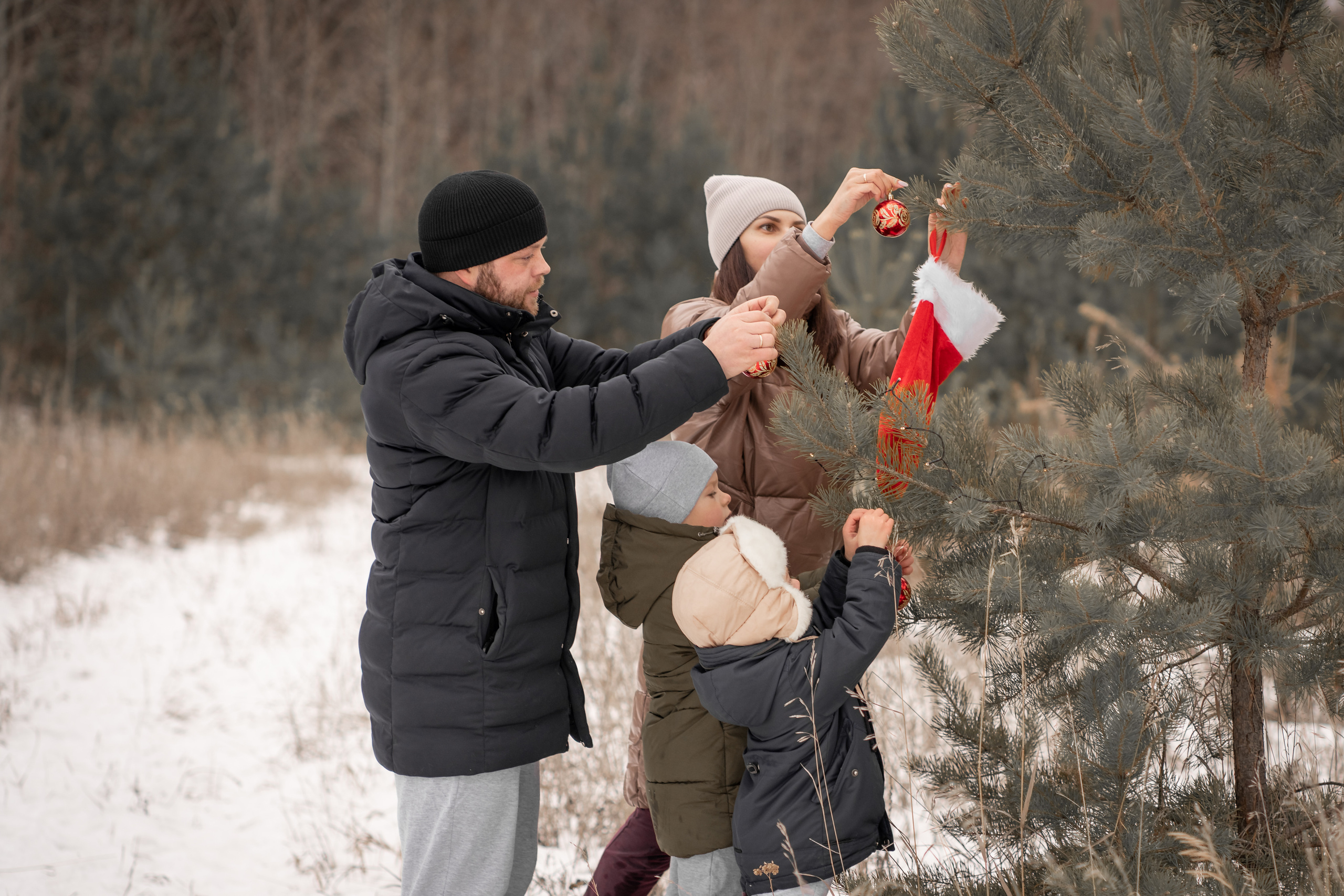 Пока деревья были большими. Фотограф Татьяна Митрофанова