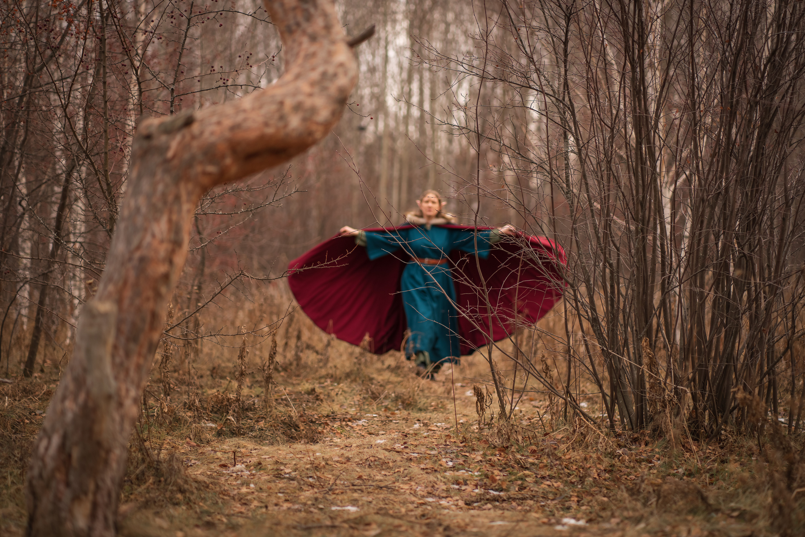 Эльфийская сказка. Фотограф Татьяна Митрофанова